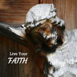 We keep our focus on the words of Pope Francis – Live Your Faith