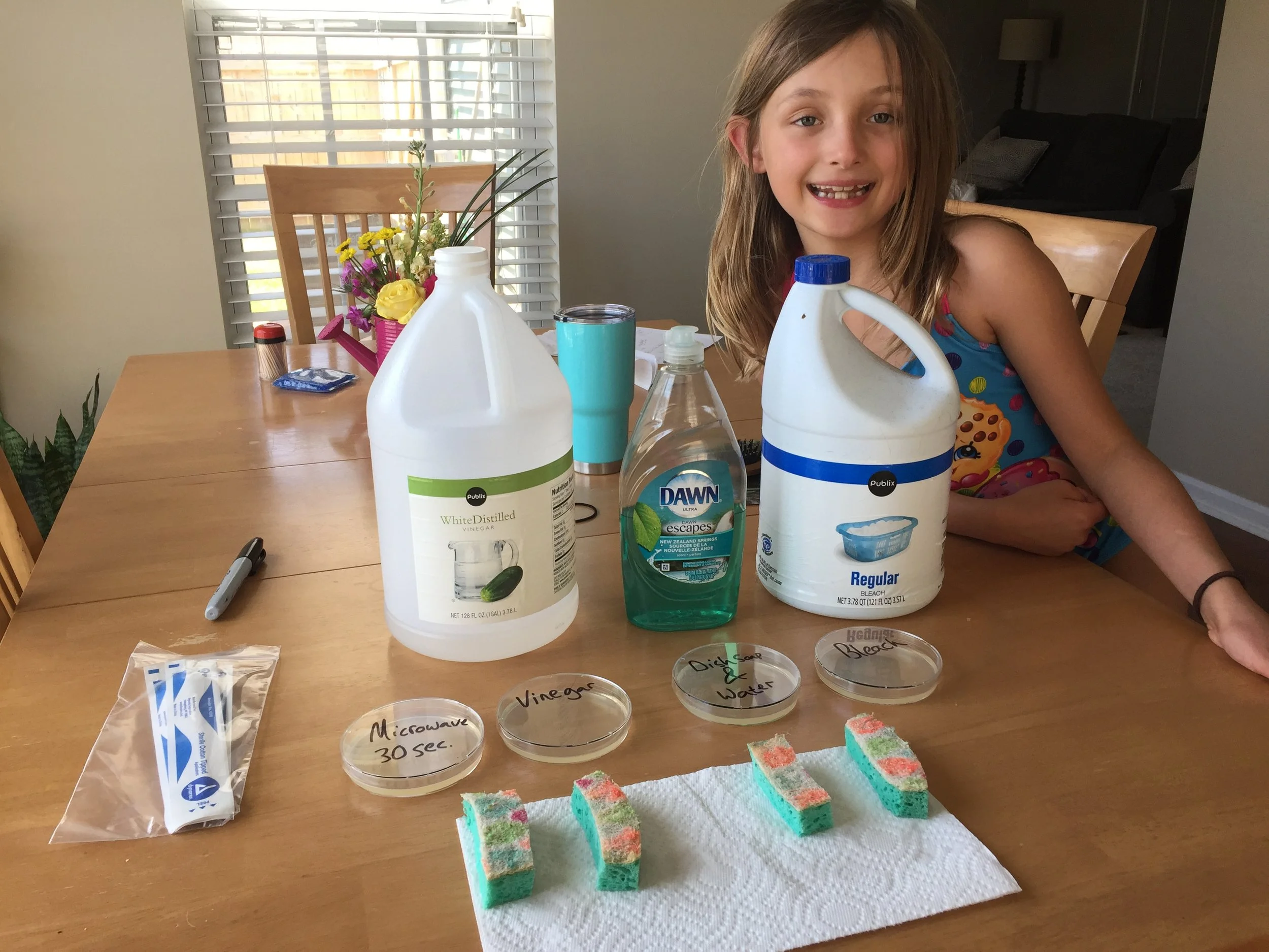 How Long To Microwave Sponge To Disinfect atelieryuwa.ciao.jp