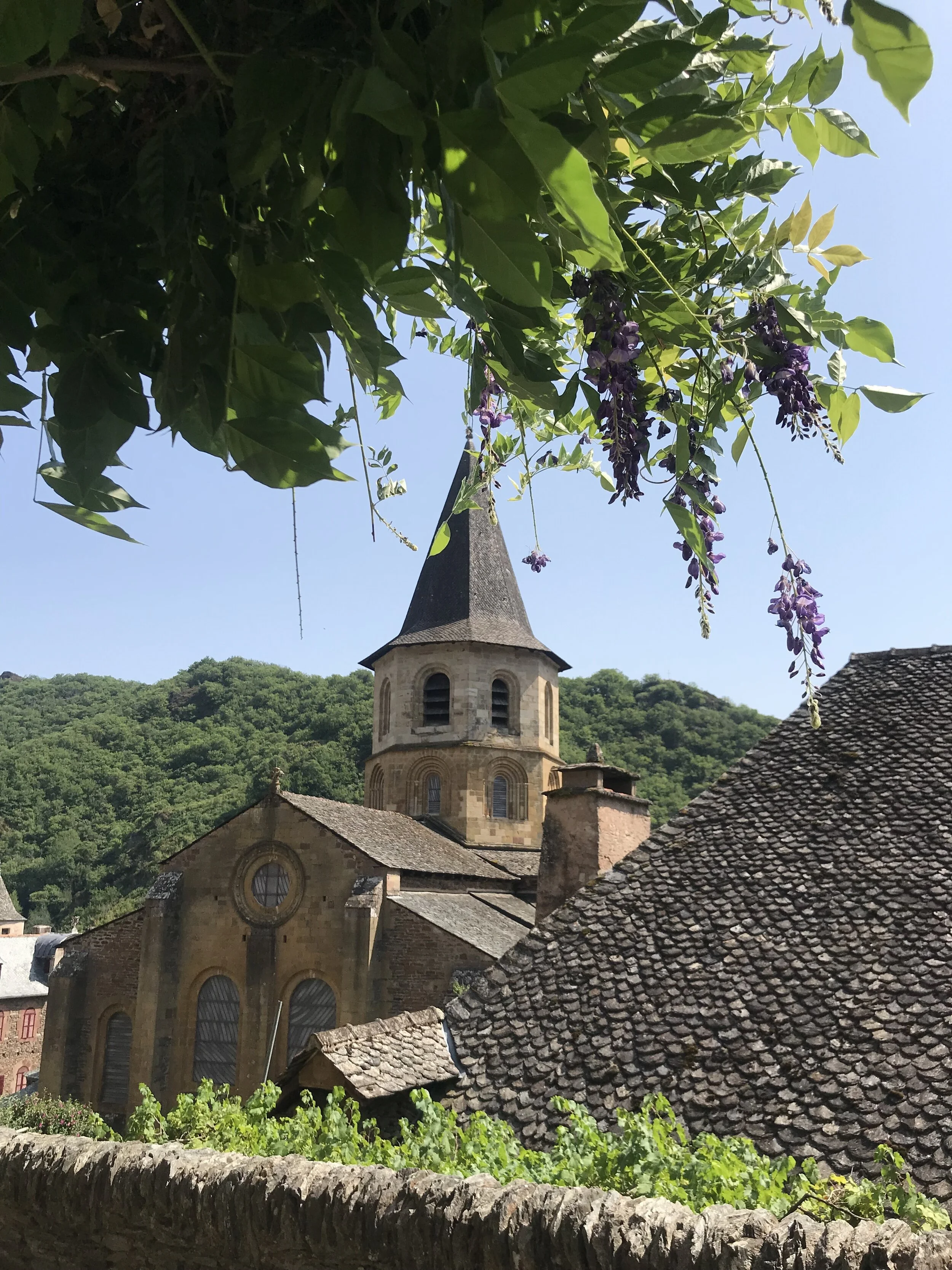 In Aubrac - July 2019