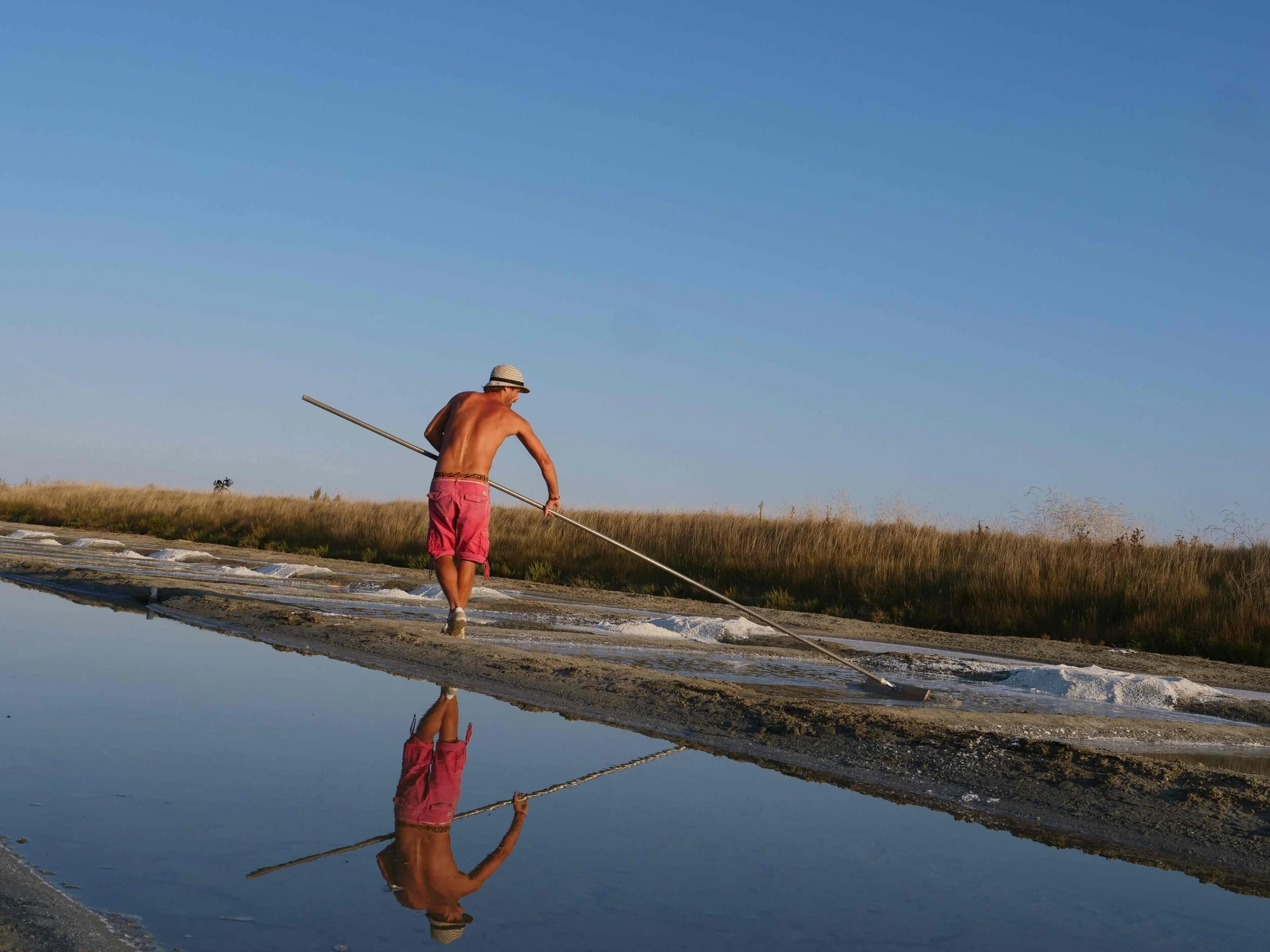 SALT  - Final Cut February 2019