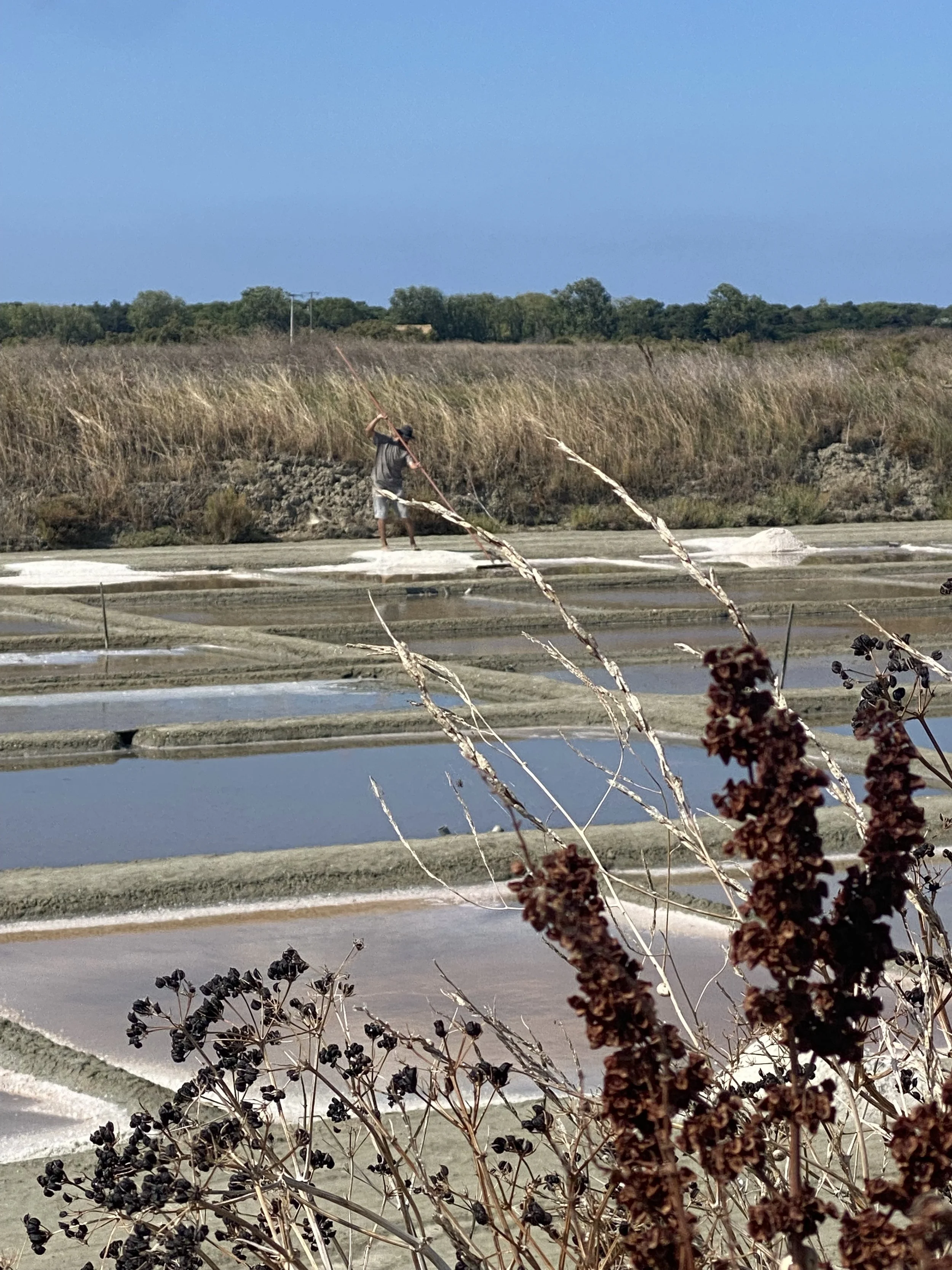 Summer/Autumn 2021 France