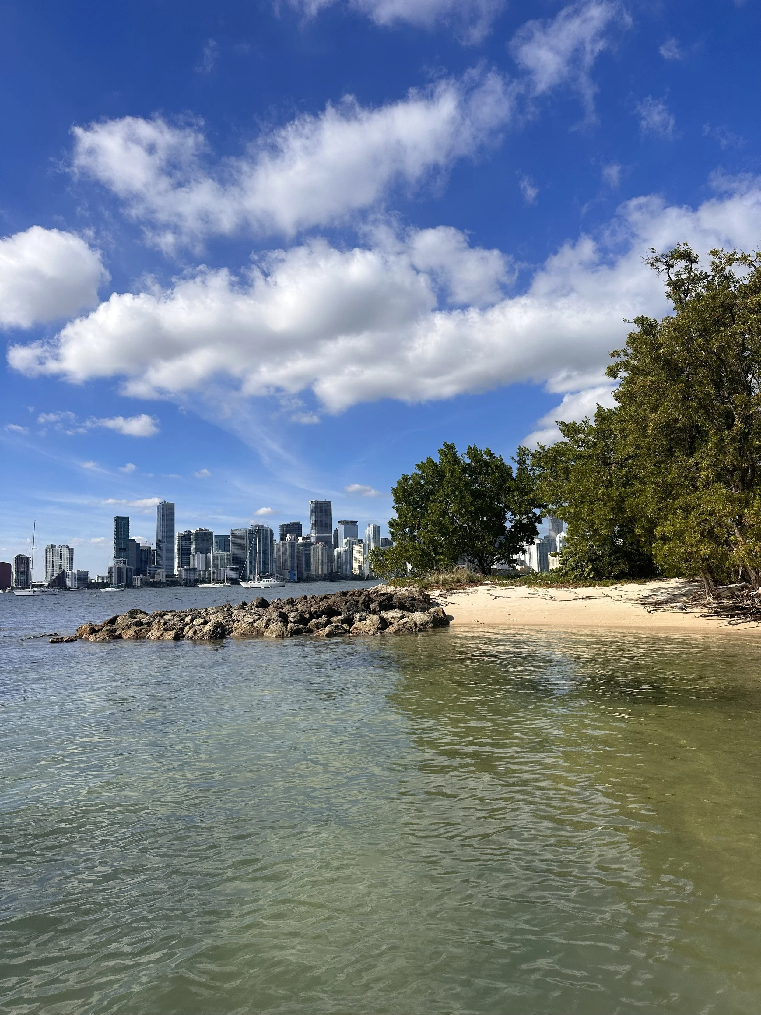 Miami winter 2023/24