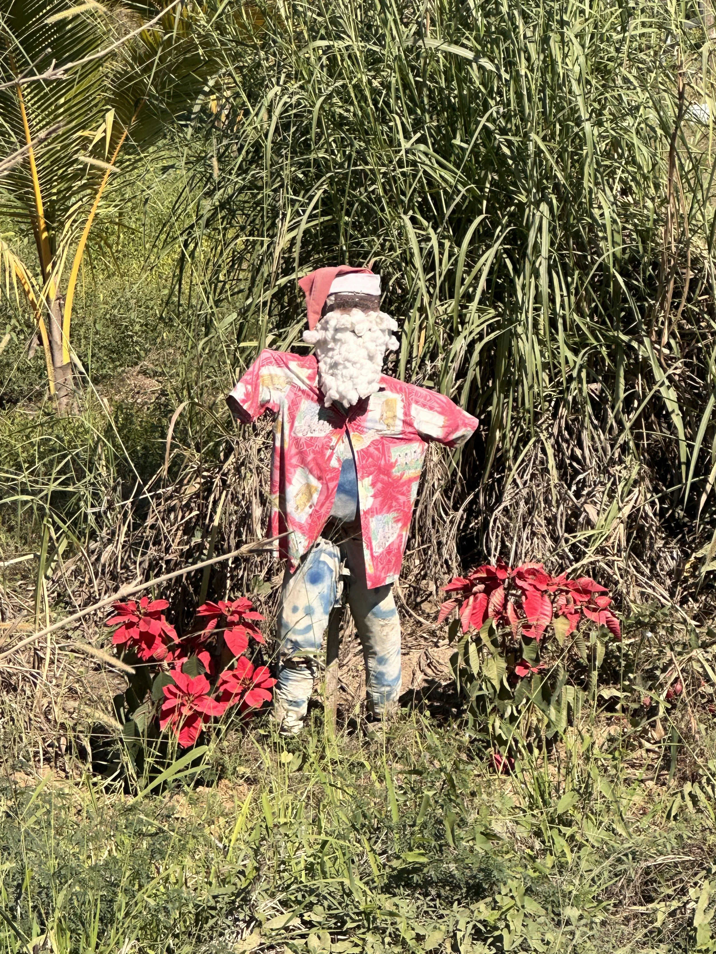 IMG_1179 2.jpeg
