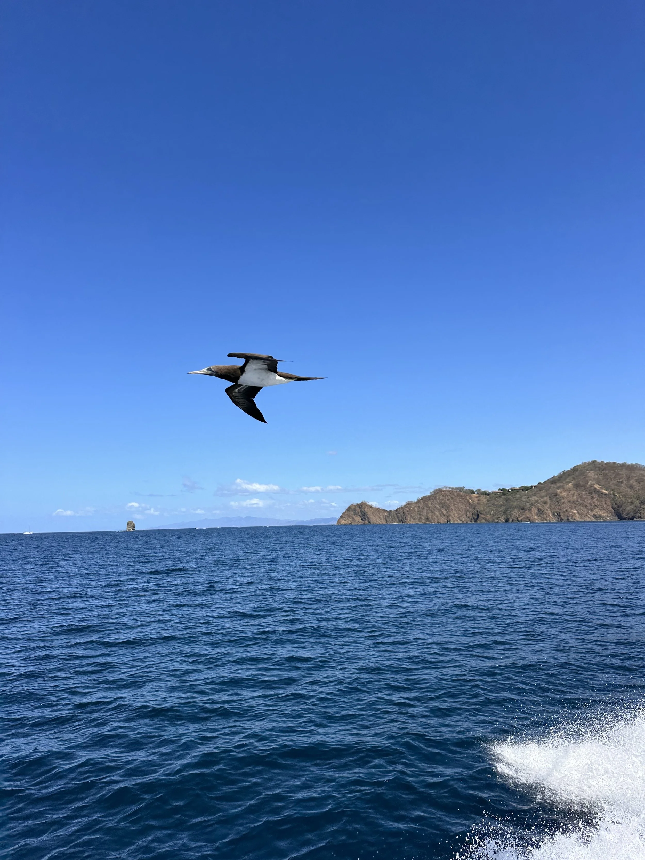 IMG_1427.jpeg