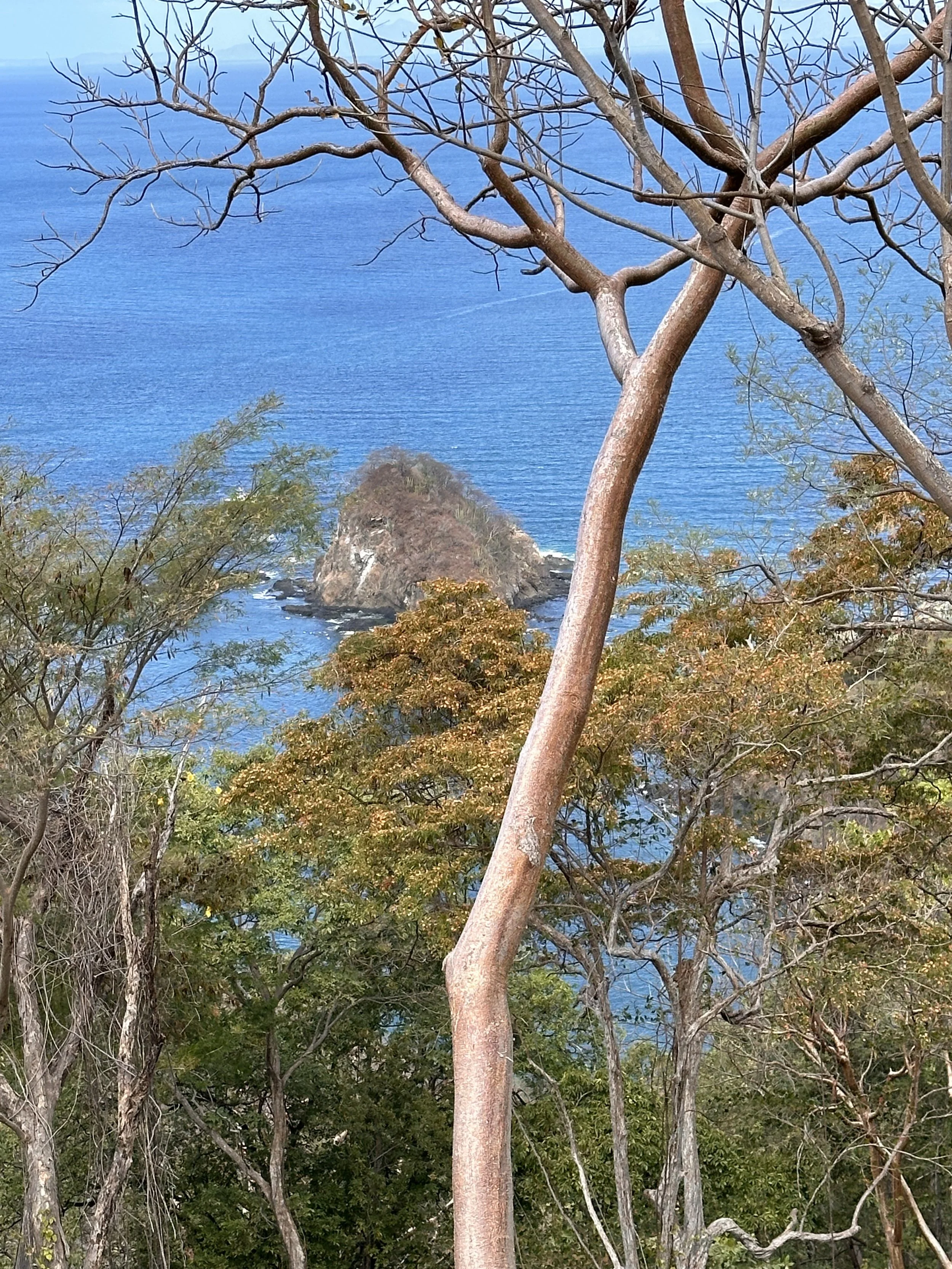 IMG_1439.jpeg