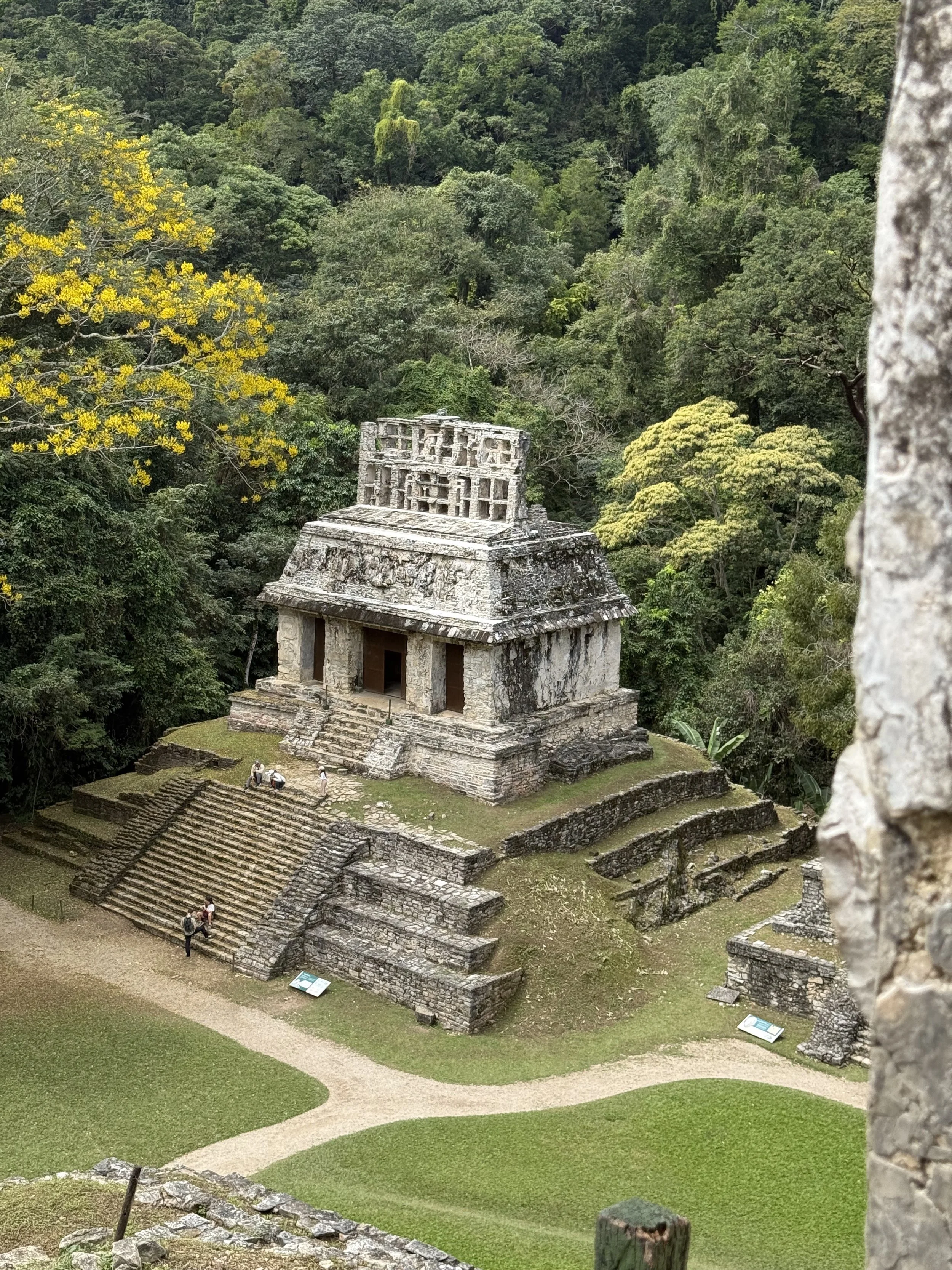 Oaxaca &amp; The Chiapas February 2026