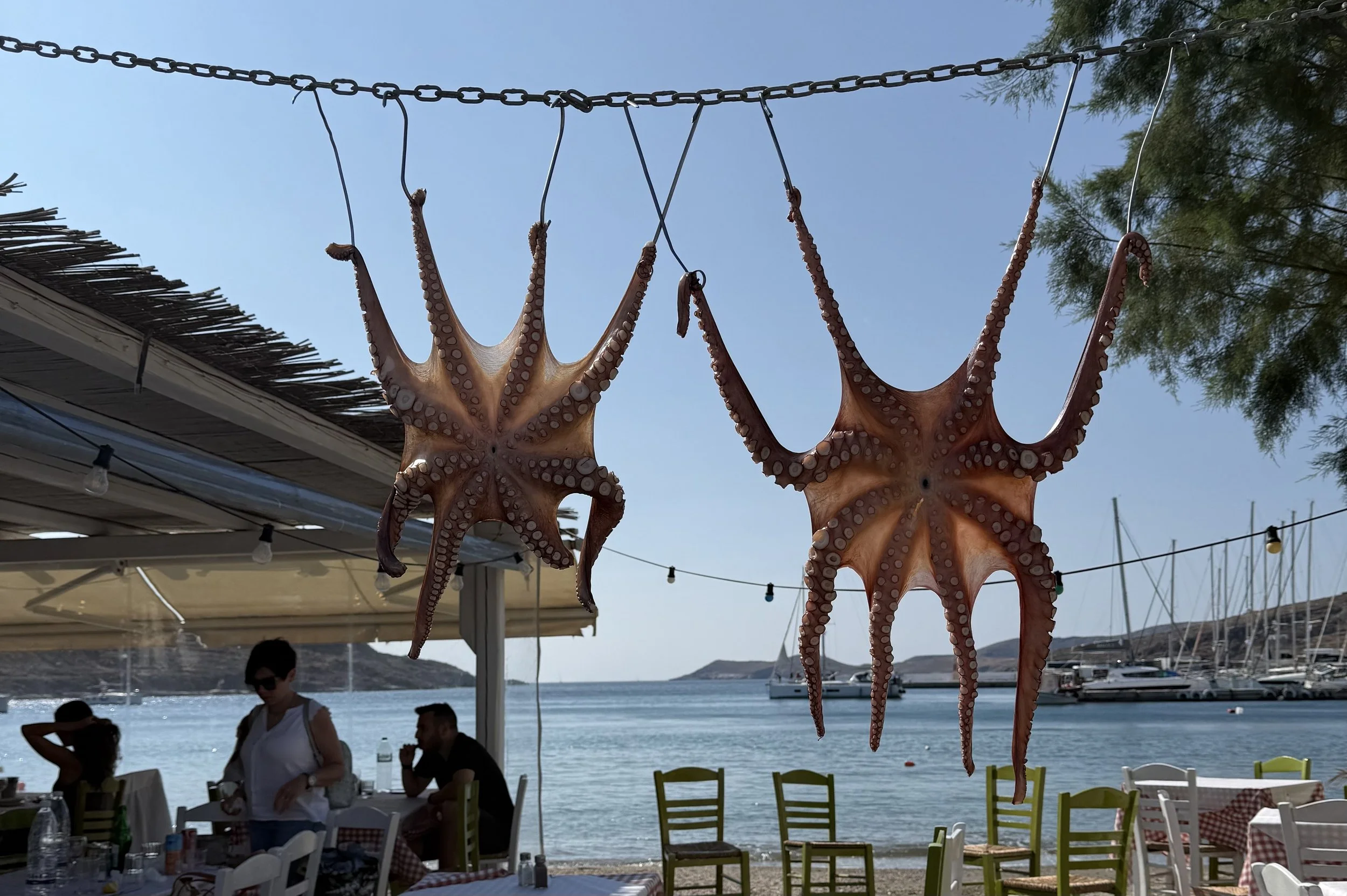 Greece, The Cyclades,  June 2025