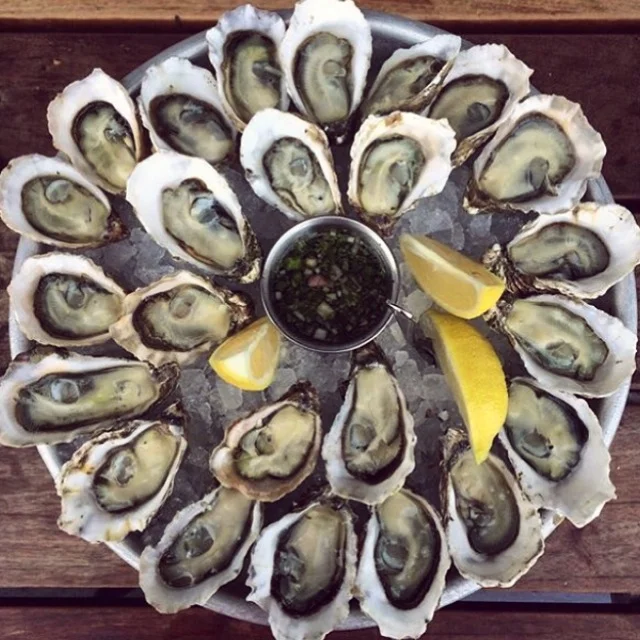 Oysters; San Francisco, California