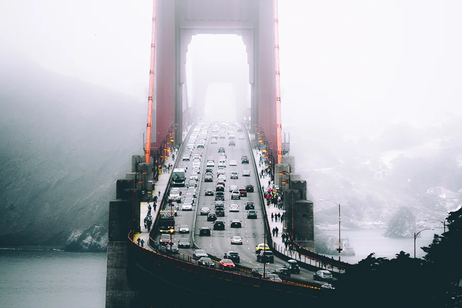 Fogged in.jpg