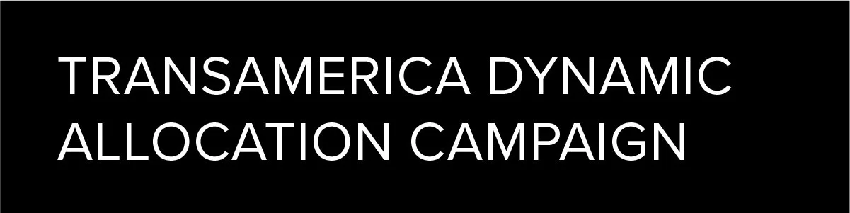 Transamerica Dynamic Campaign-100.jpg