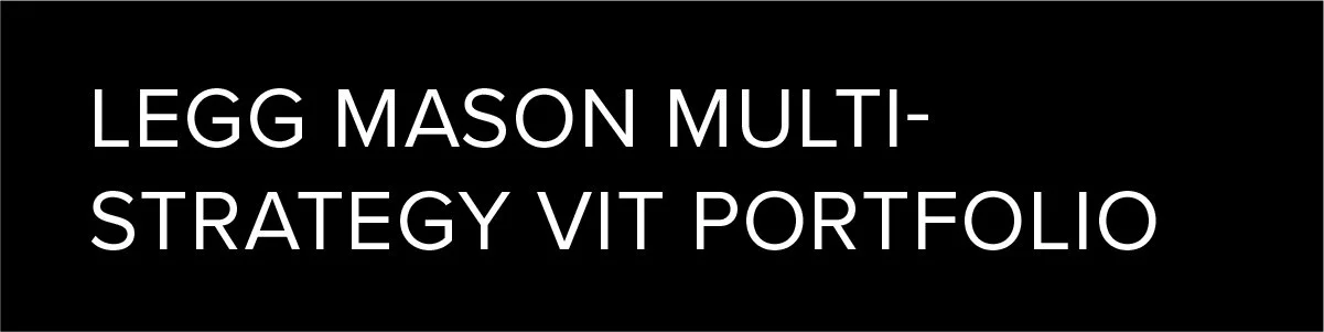 LM VIT Bro-100.jpg