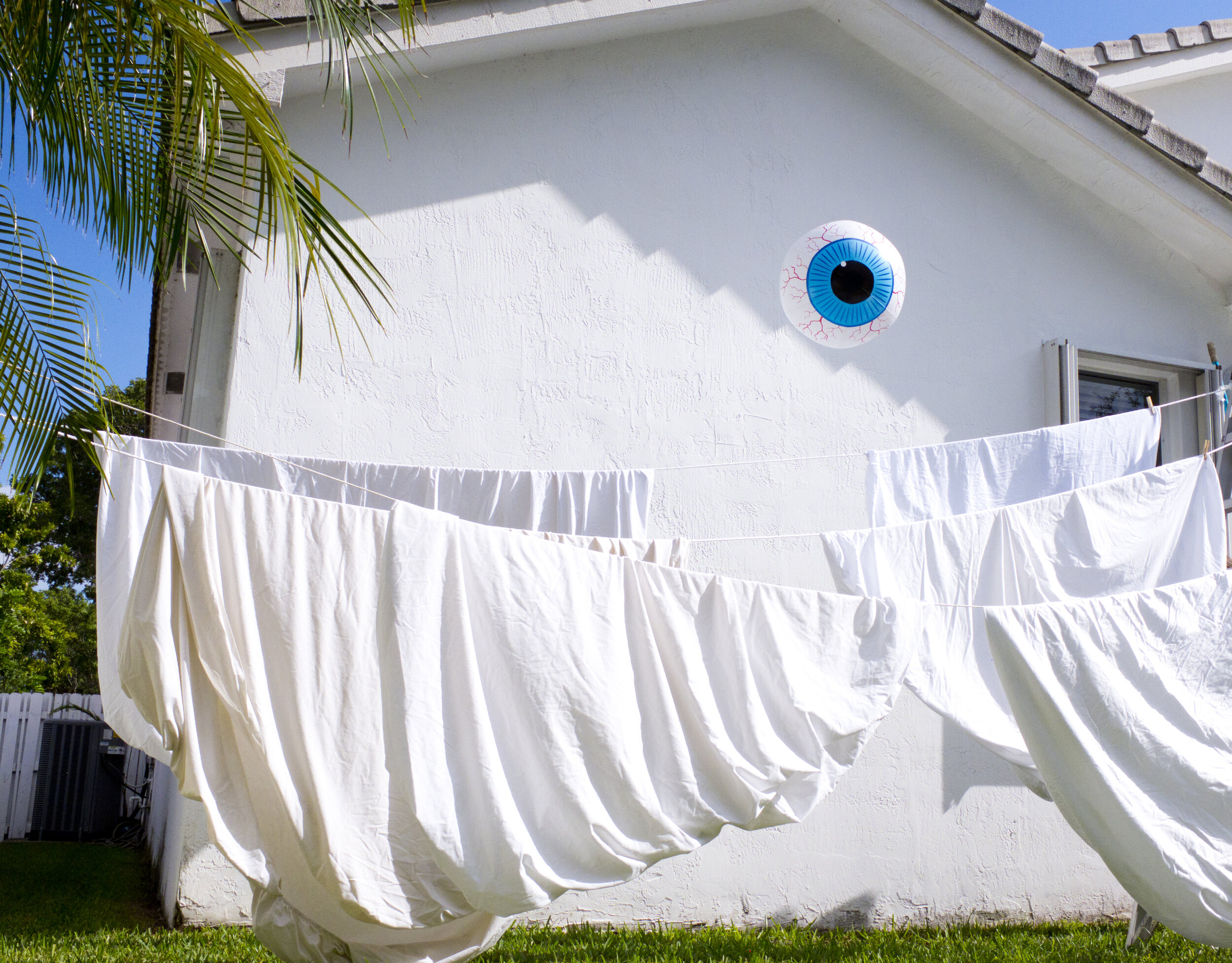 woke up to an eye floating in the backyard