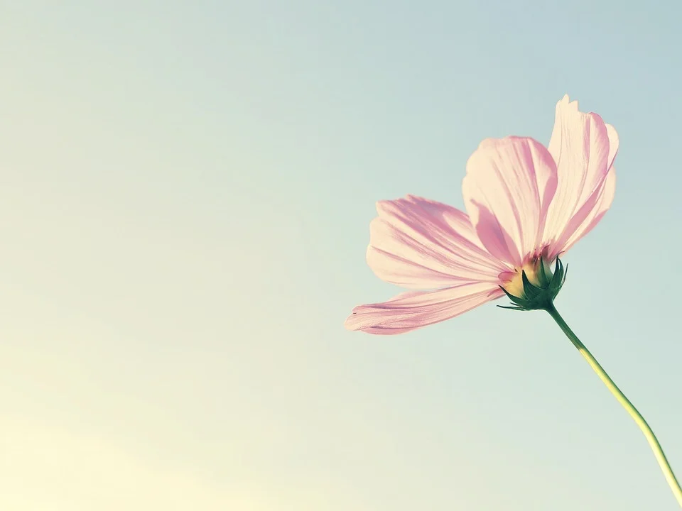 5 Key Habits to Becoming More Open-Minded
