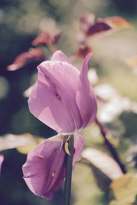 What Does it Mean to Live Authentically? and learn 10 ways how