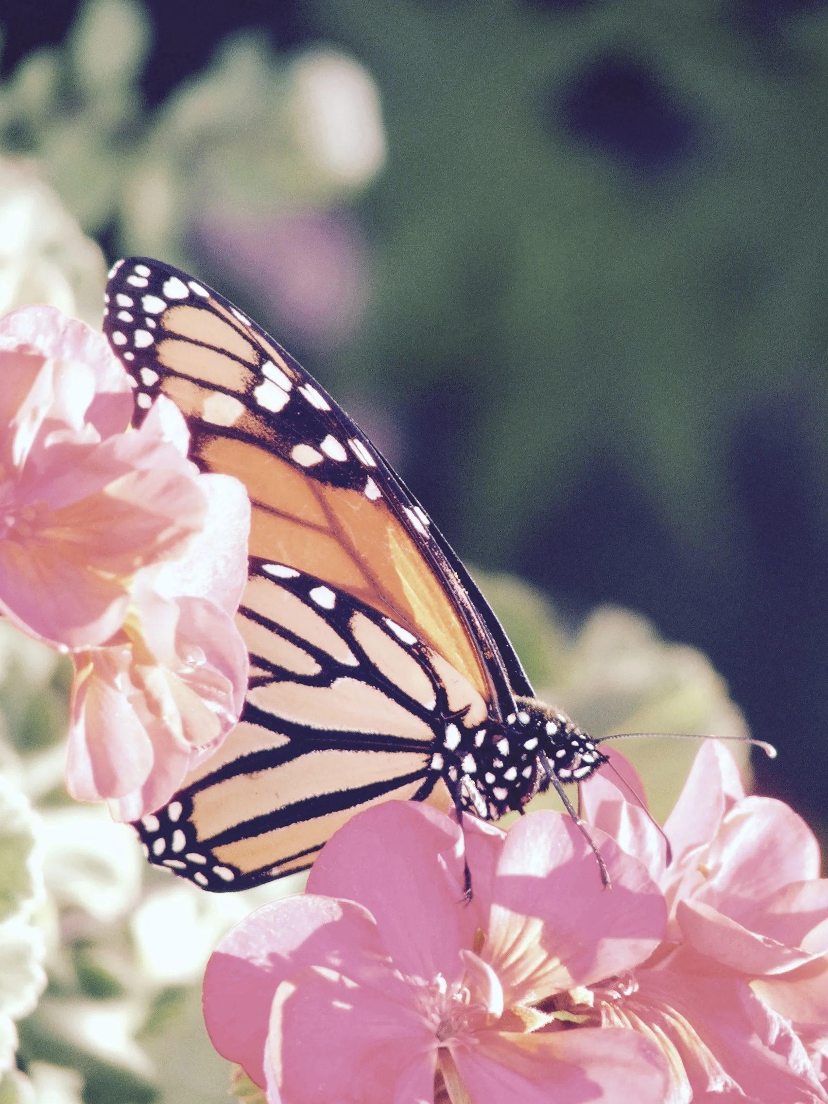 21 Signs You Are Open-Minded