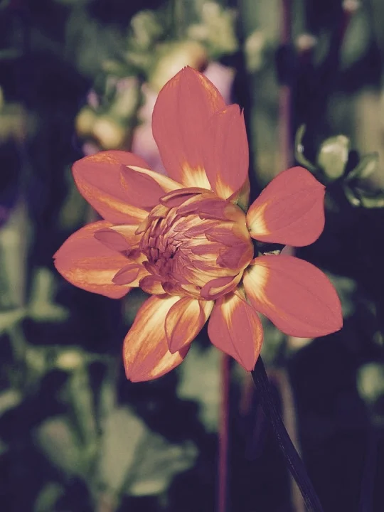 How to Add More Beauty to Your Life