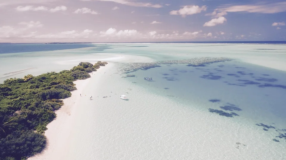 3 steps to doing or accomplishing anything in your life (free training)