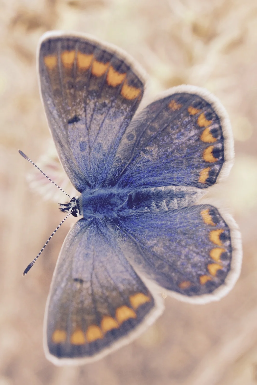 100 Self-Reflective Questions for Deep Self-Discovery