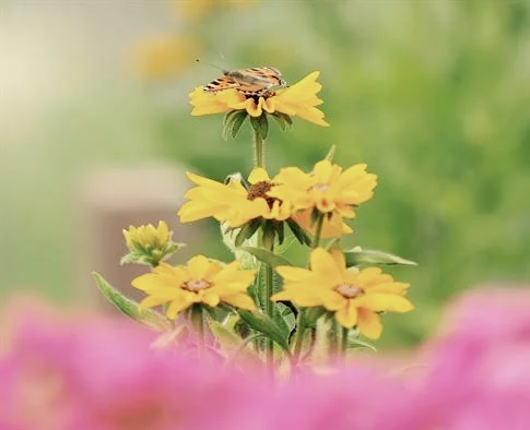 4 Keys to Personal Growth and Transformation - Part 1: Self-Honesty