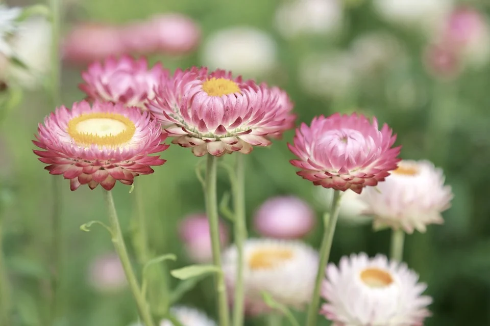 4 Keys to Personal Growth and Transformation - Part 4: Implementation