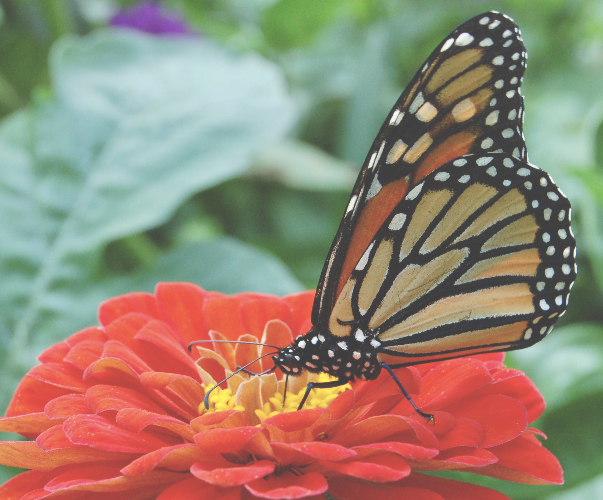 3 Essential Questions to Ask Yourself Before Making a BIG Life Change