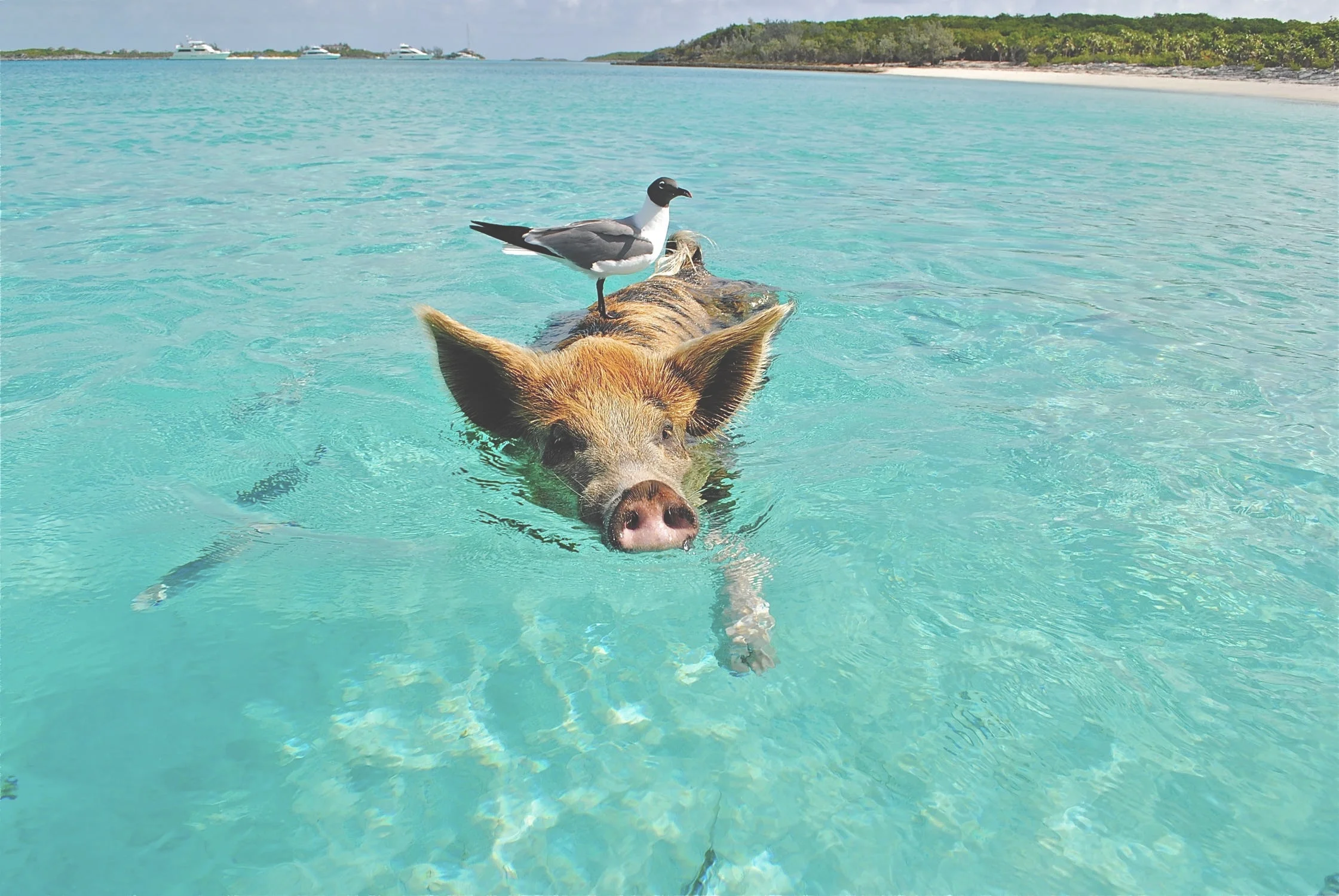 11 Ways to Make Yourself Feel Better When You Feel Like Sh*t