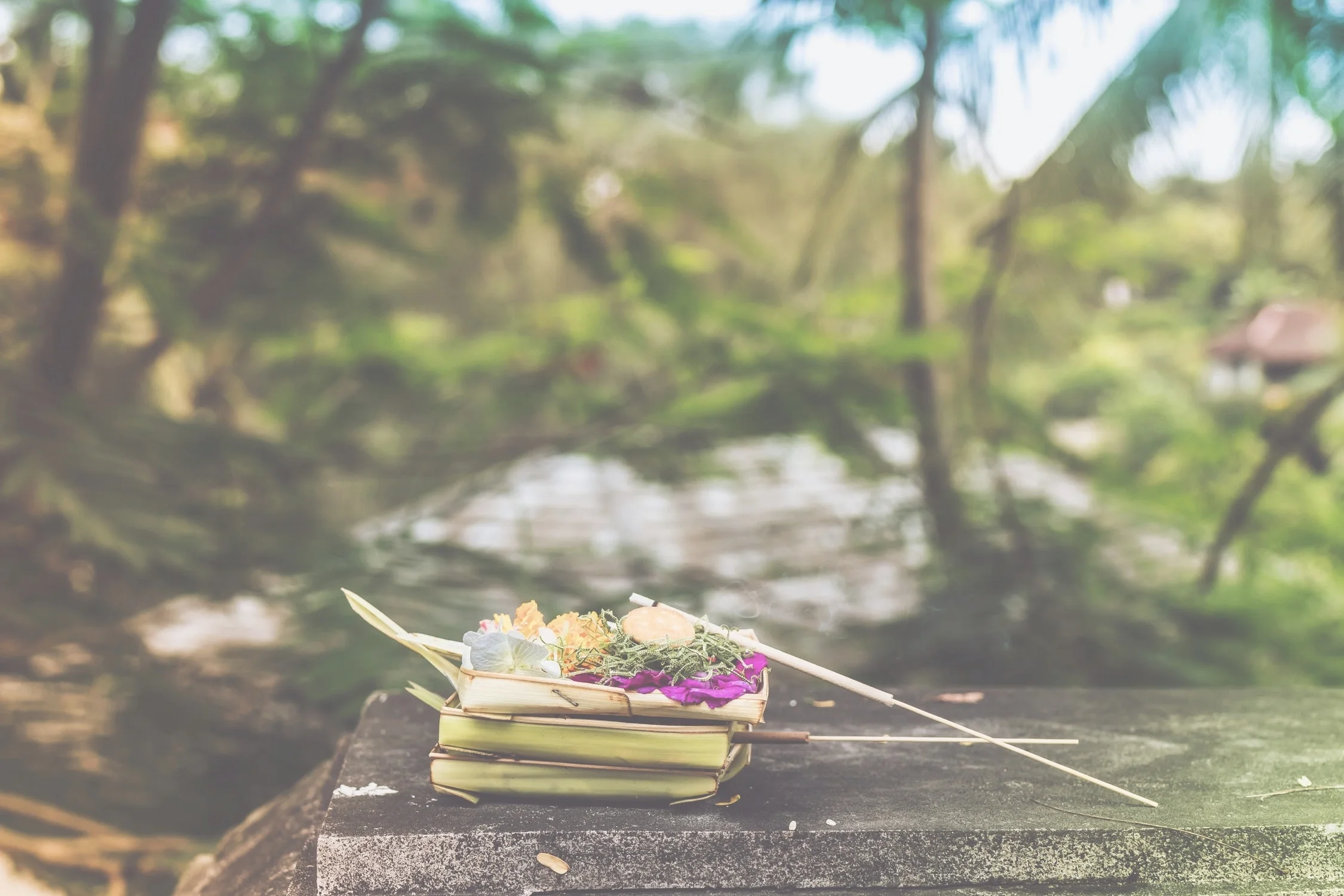 How to Elevate Your Energy Through Gratitude (with exercises)