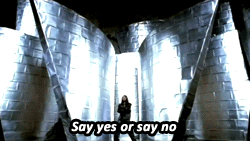 giphy2.gif