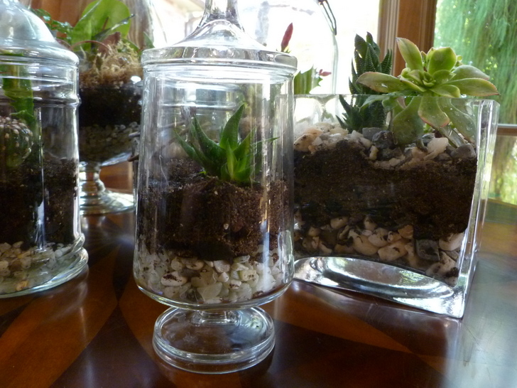 DIY-Terrariums-Bridgette-Meinhold-77.jpg