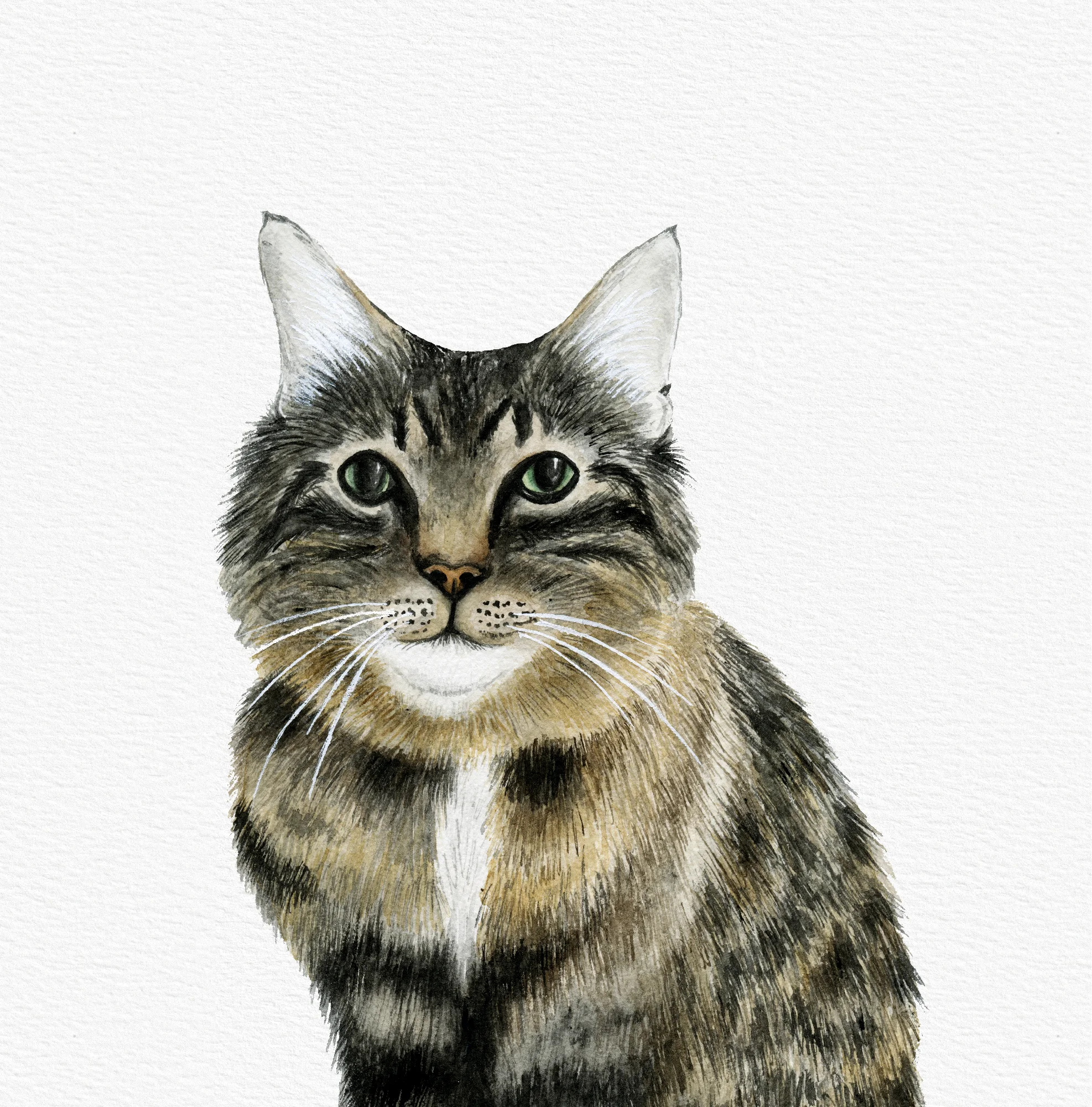 Pet-Portrait_Pip-and-Cricket2.jpg