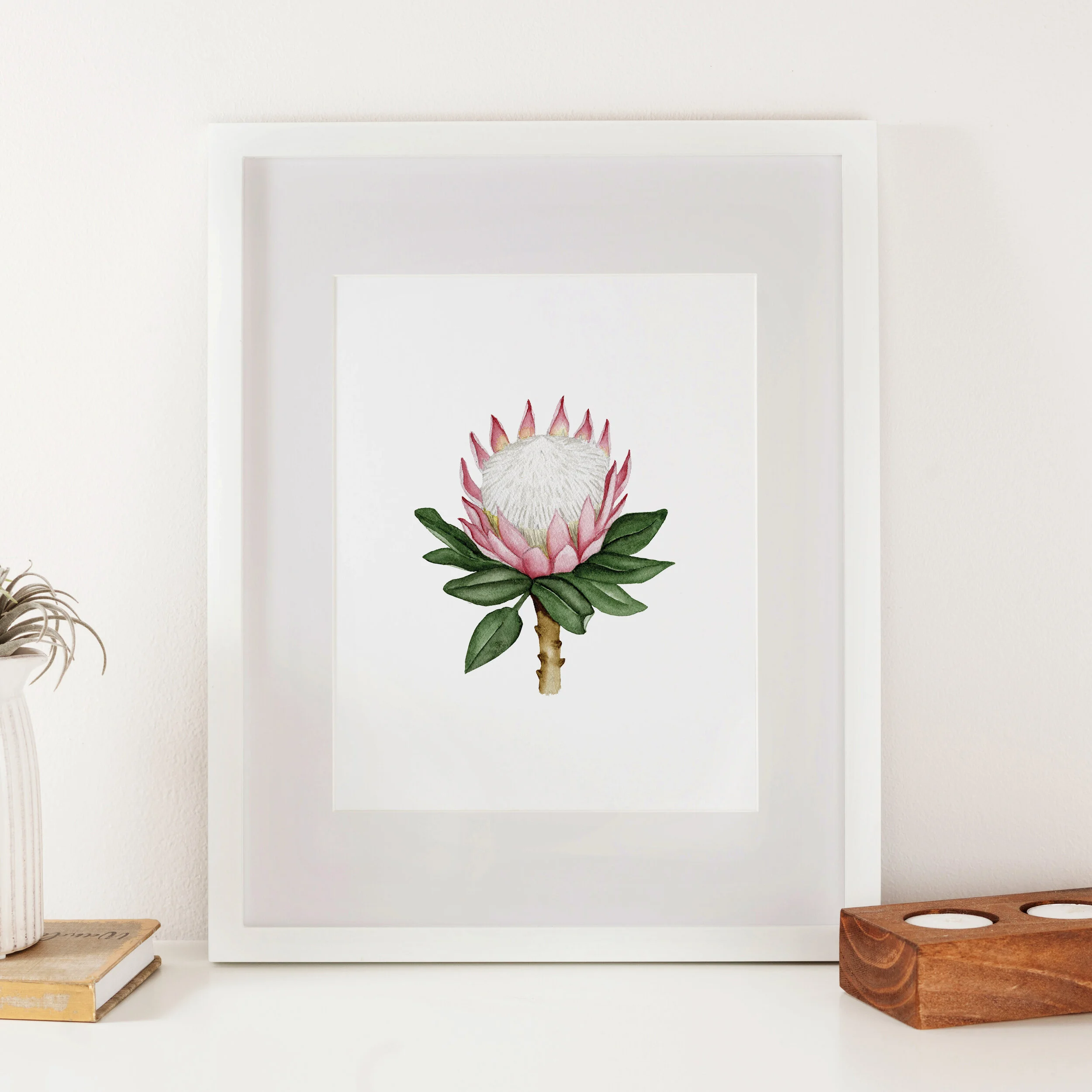 Protea Flower Watercolor Print
