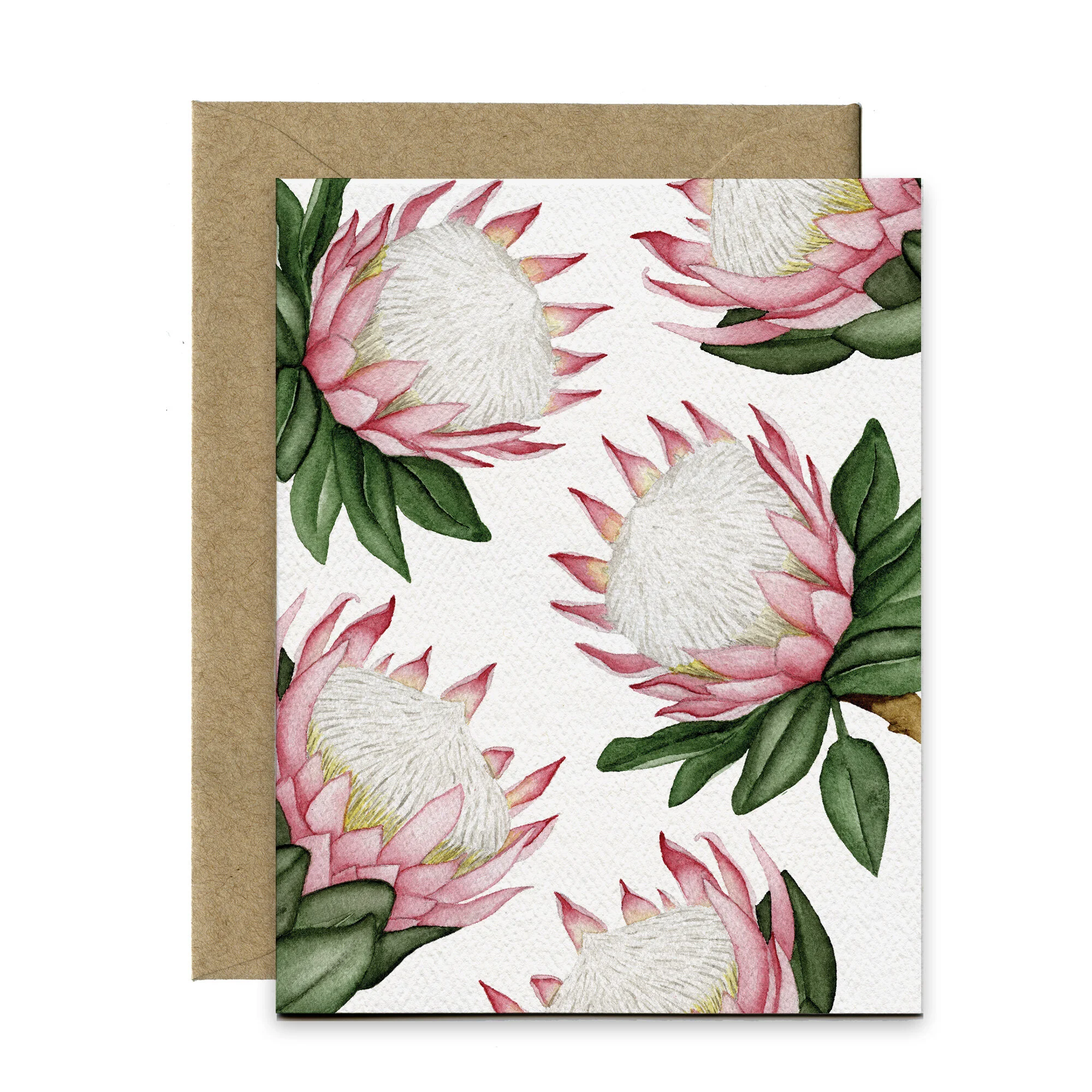 Blank-Protea-Greeting-Card-v1-SQUARE.jpg