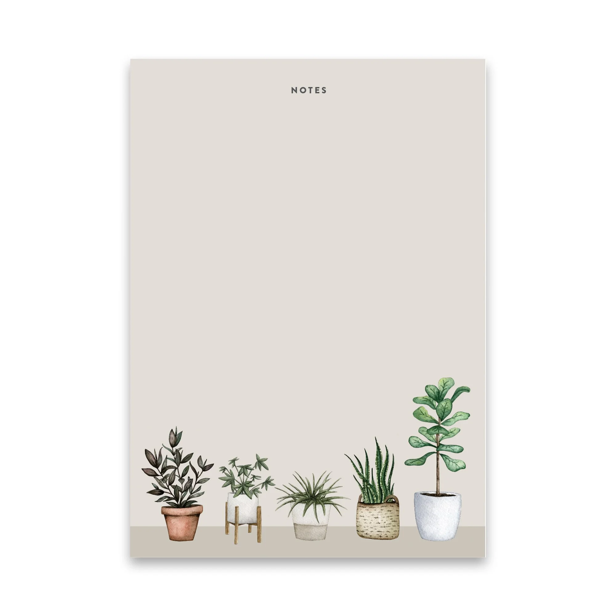 NP-Plants-5x7-v1-SQUARE.jpg