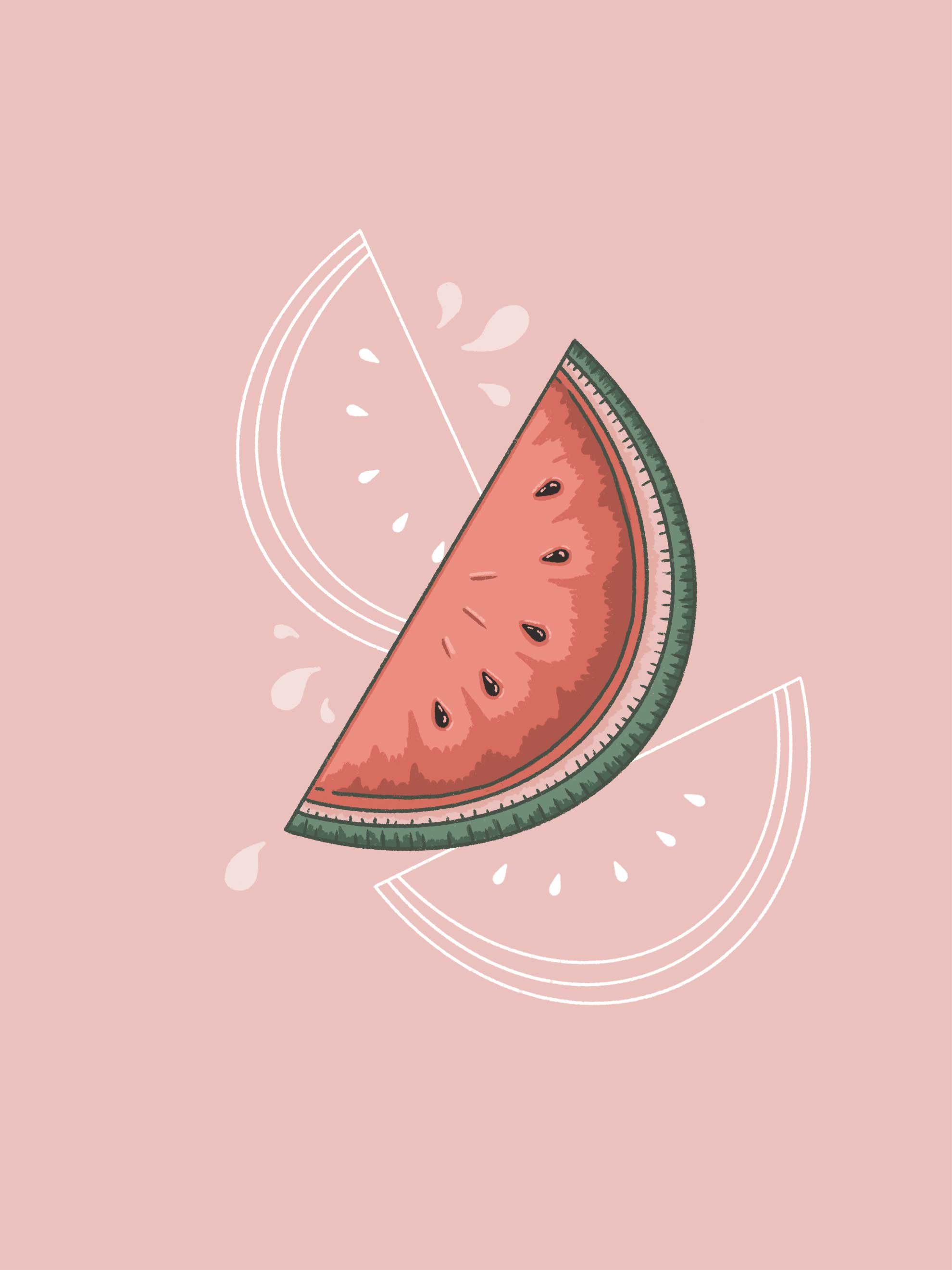 Watermelon_Art-Licensing-KallieGoetz-PipAnd-Crickdet-LowRes.jpg