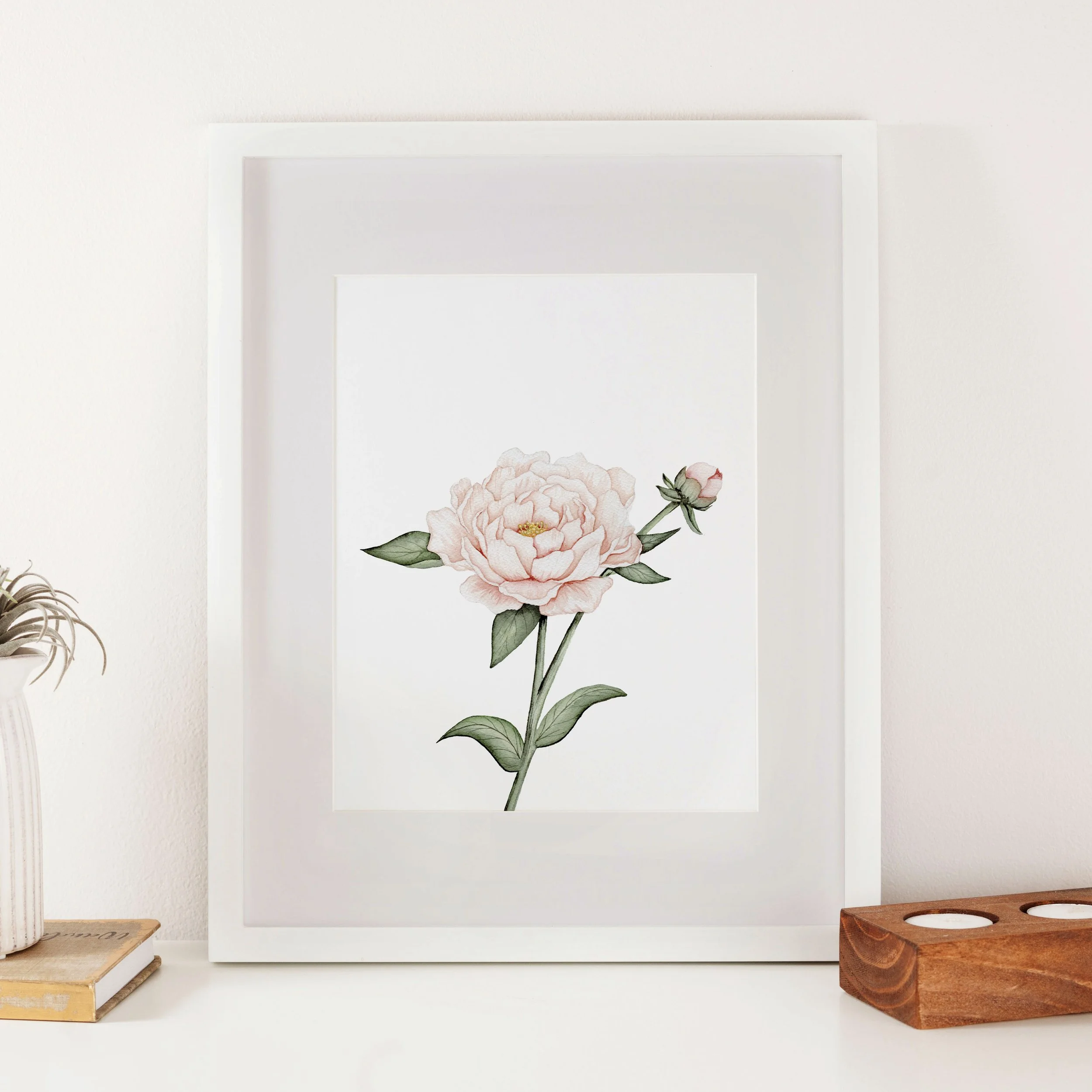 Peony + Bud Watercolor Print