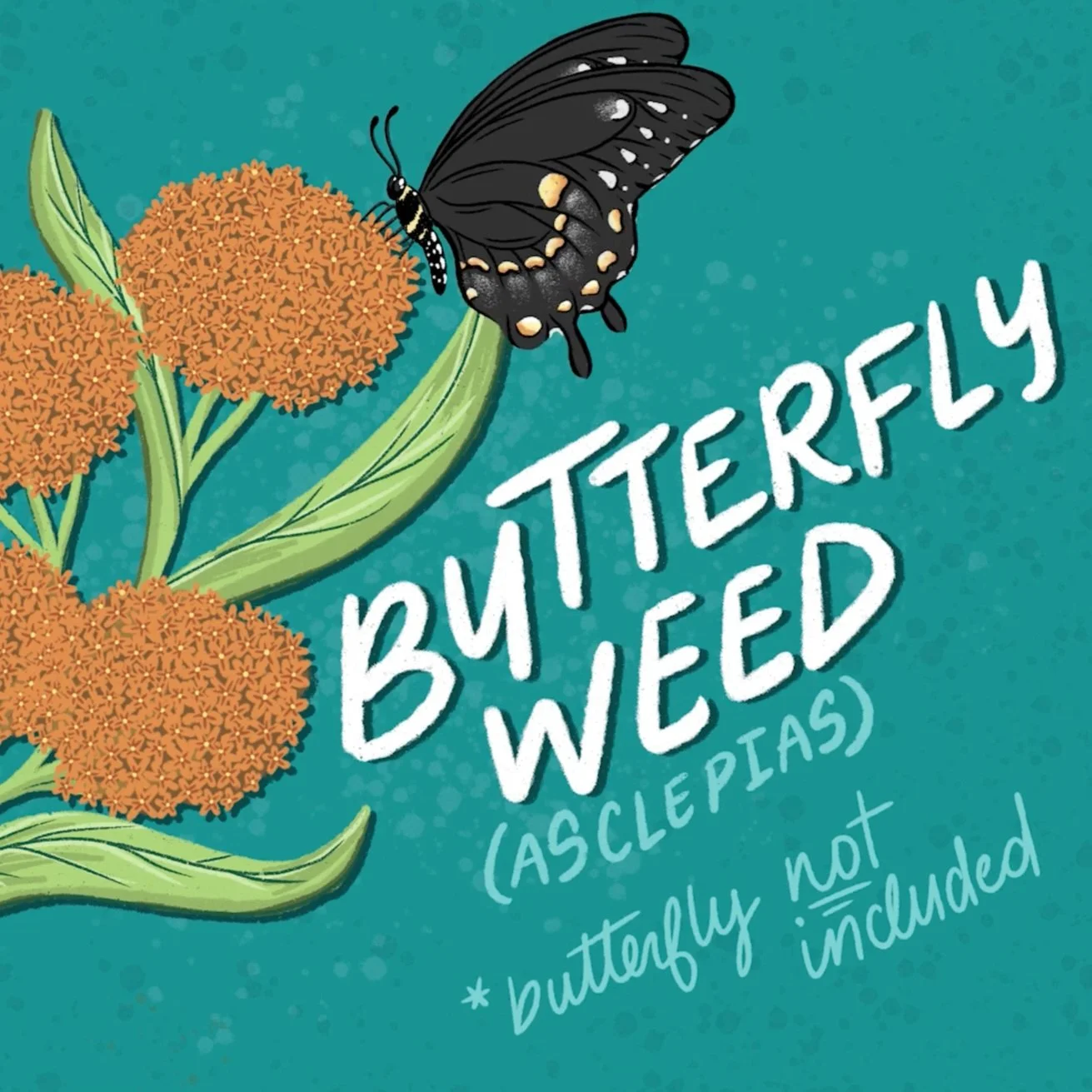 Native Plant Sale Animation