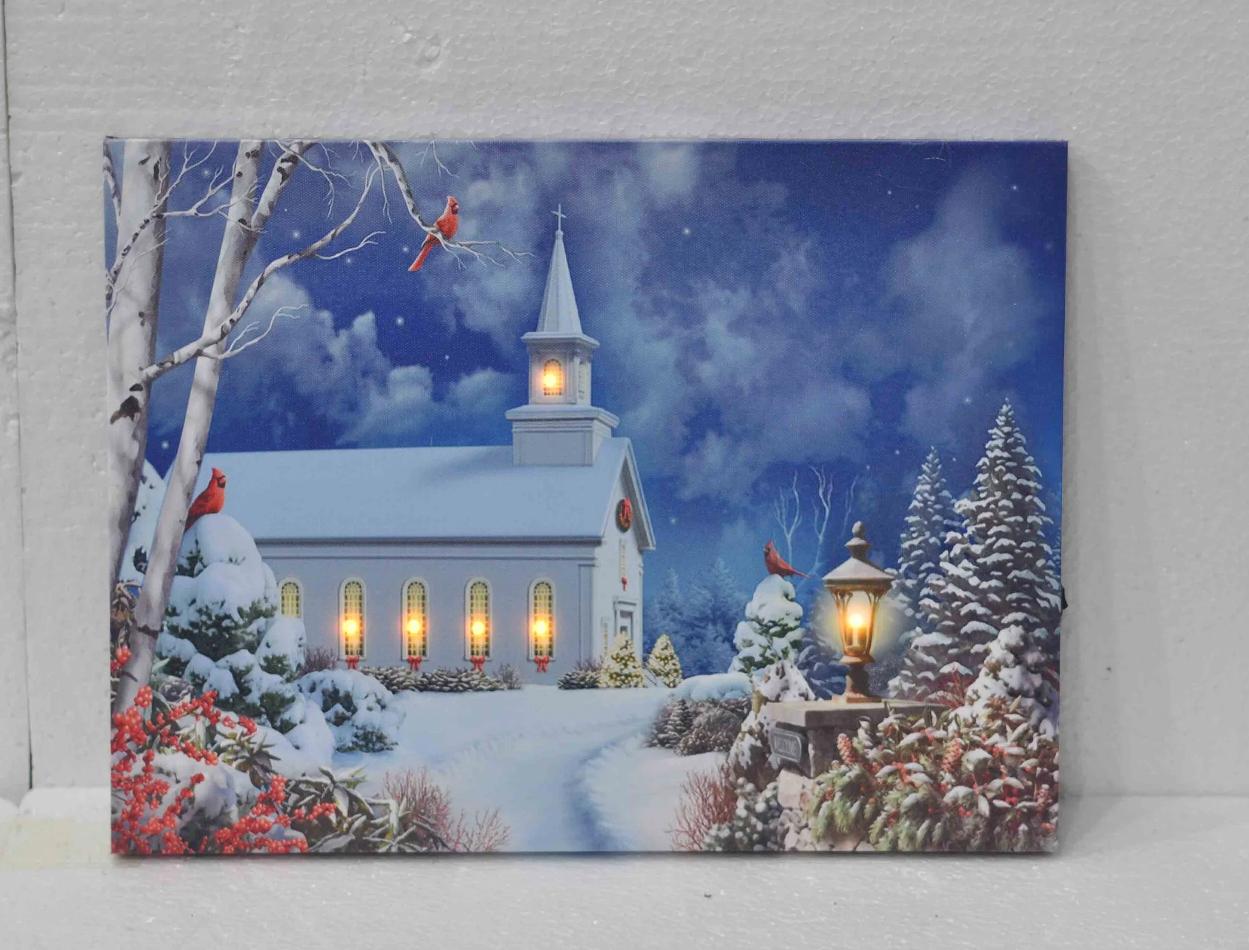 Holiday canvas with lights.JPG