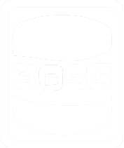 BOSS Burgers, Fries, Shakes & More