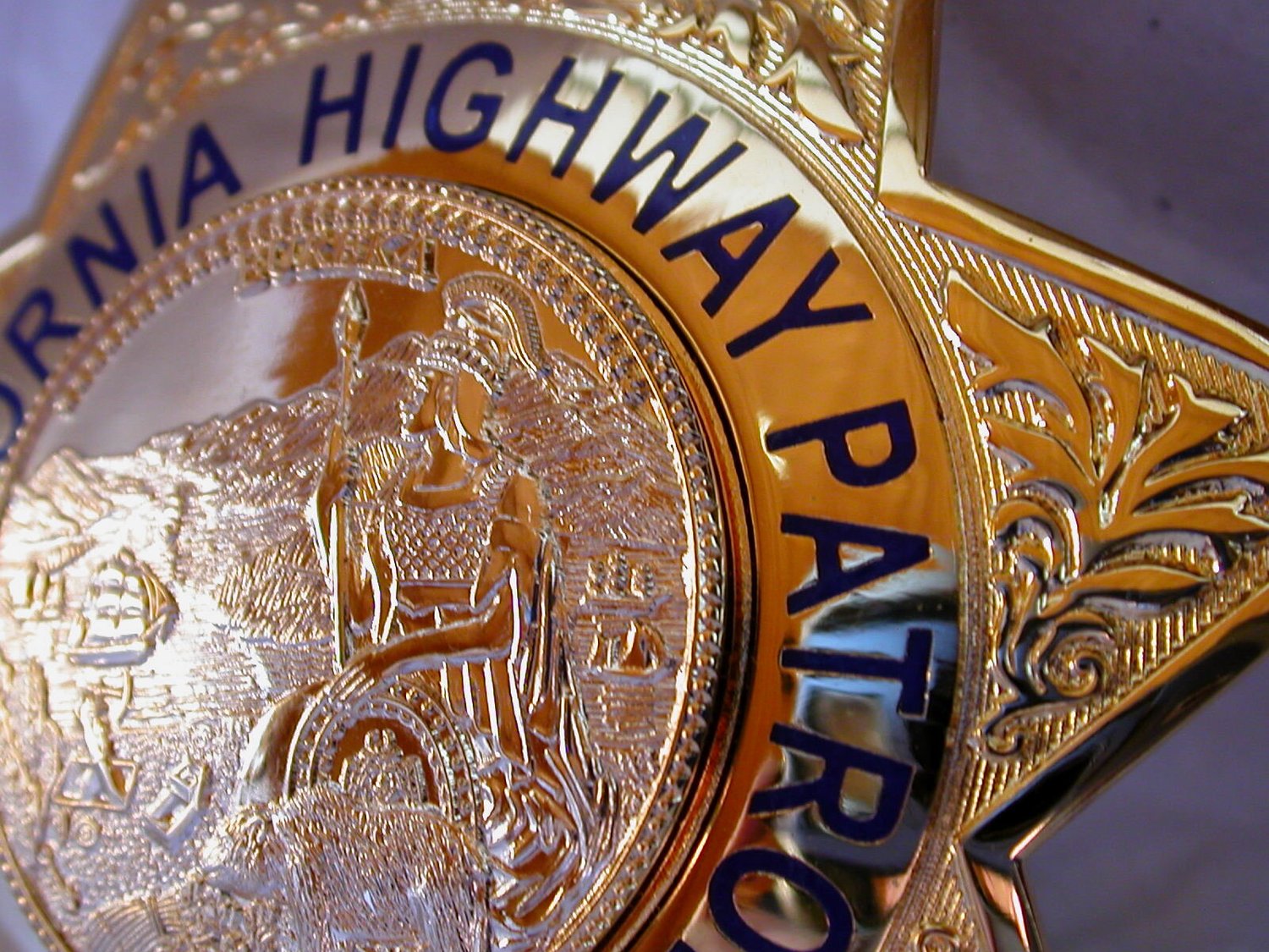 Pass the PELLETB (California Police Officer Selection Test)