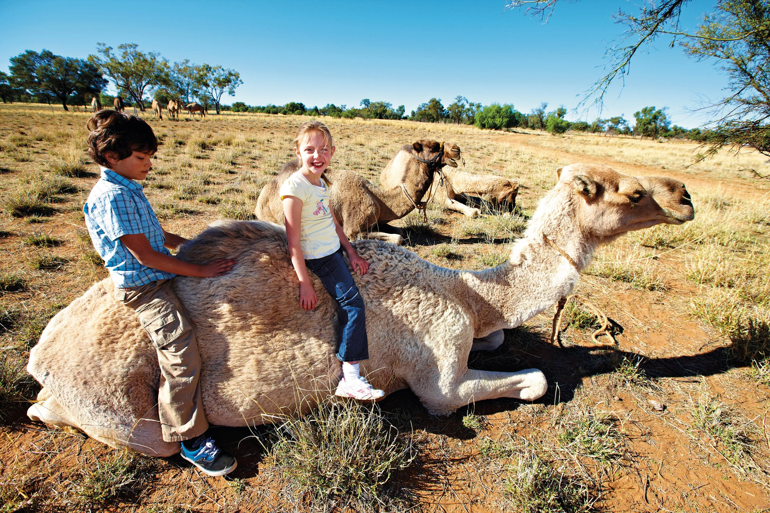 Cunnamulla - Kids and Camel.jpg