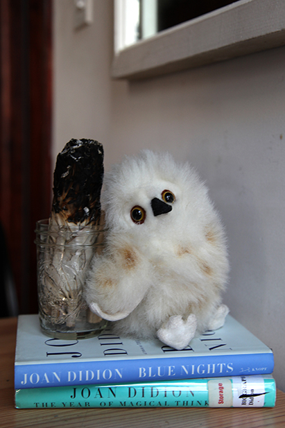 This is Baby, Amy and her husband's stuffed animal owl. This is his debut on the internet.