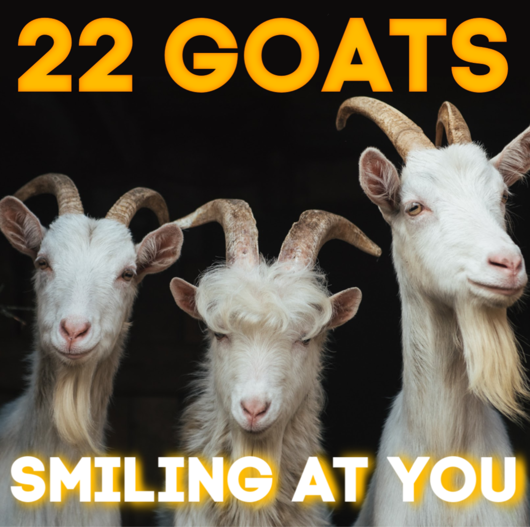 22 Goats - Smiling at you.png