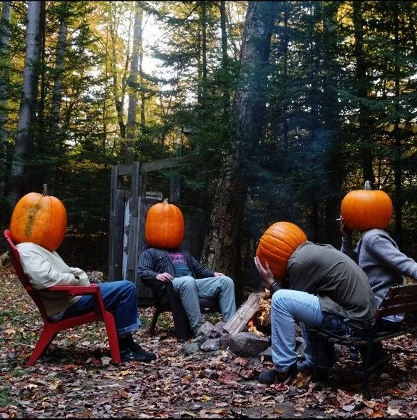 TV Dog + Sons of Rick