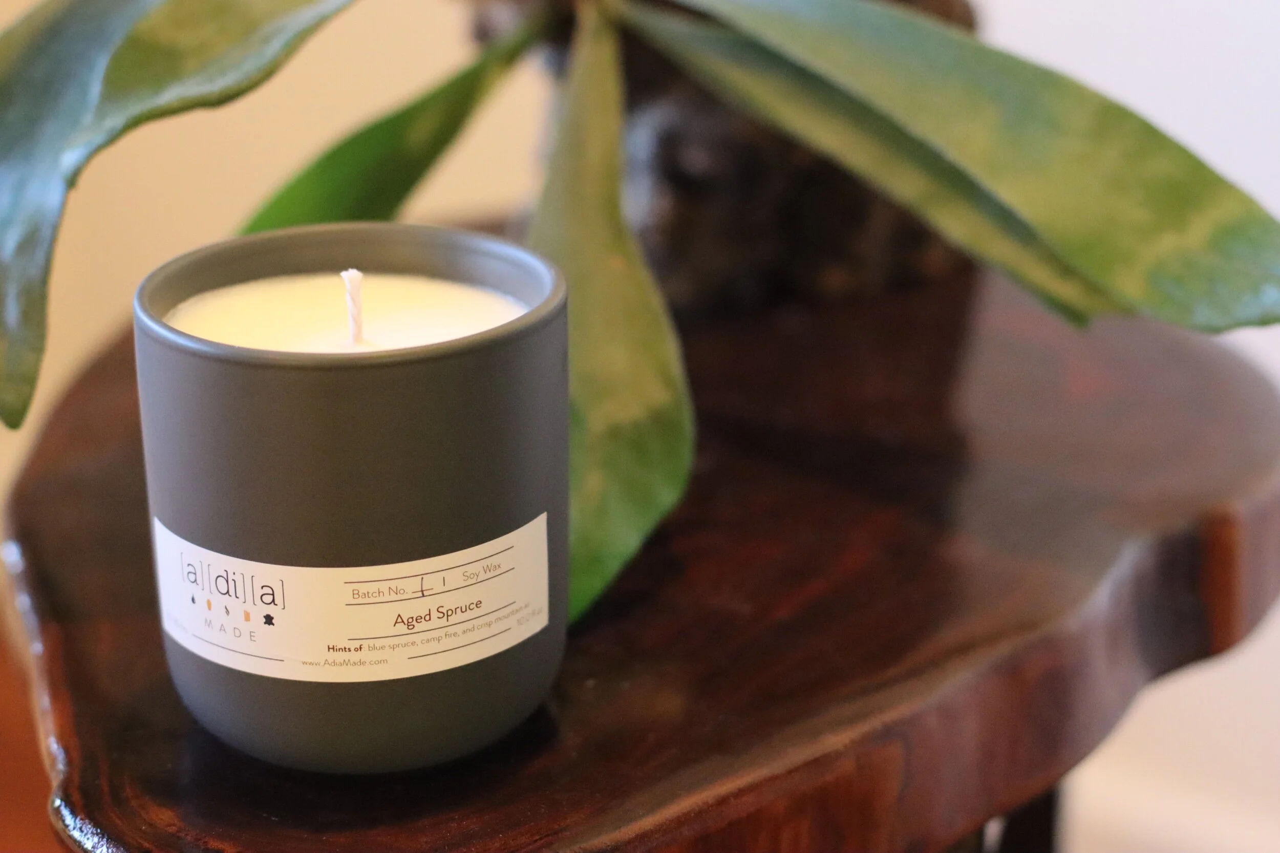 E107495F-BD82-4DC9-A940-7BC3CB830702