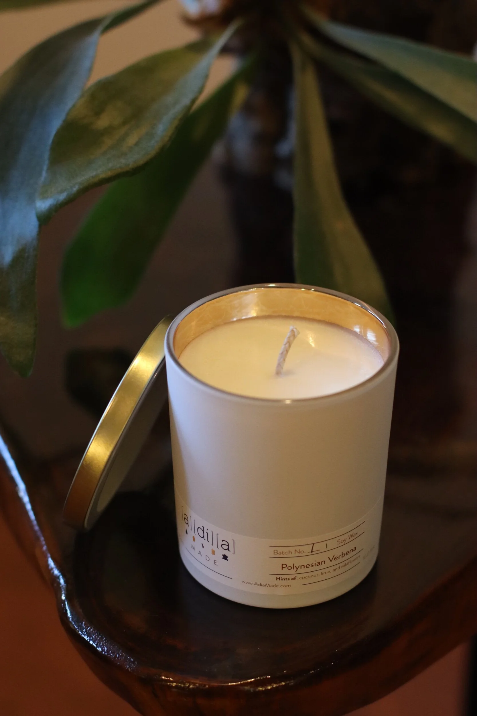 E9CD3215-32C9-4212-A869-A139DE209654