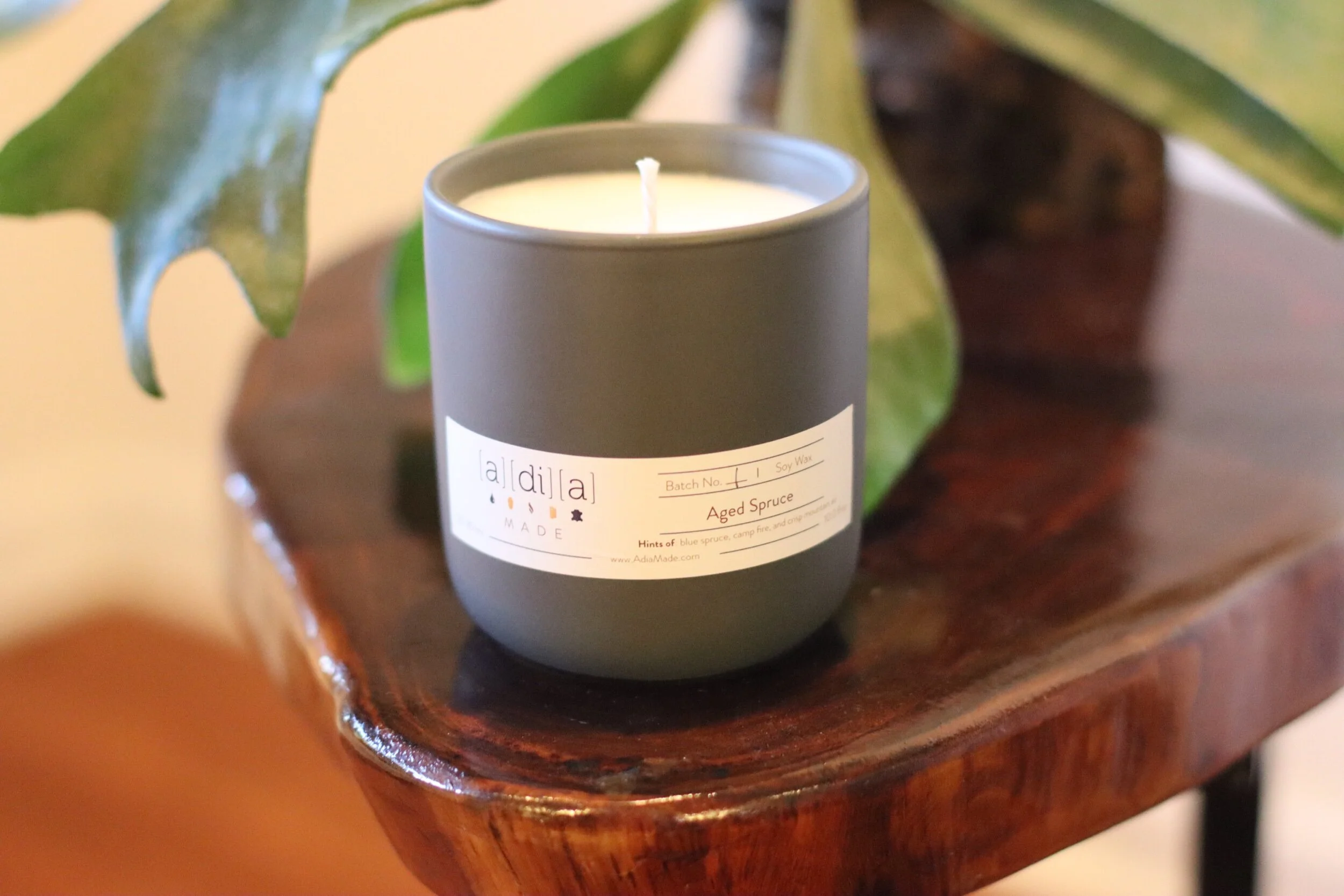 949DDC6B-C4AD-41F3-9AB2-7D6DA35AAC61