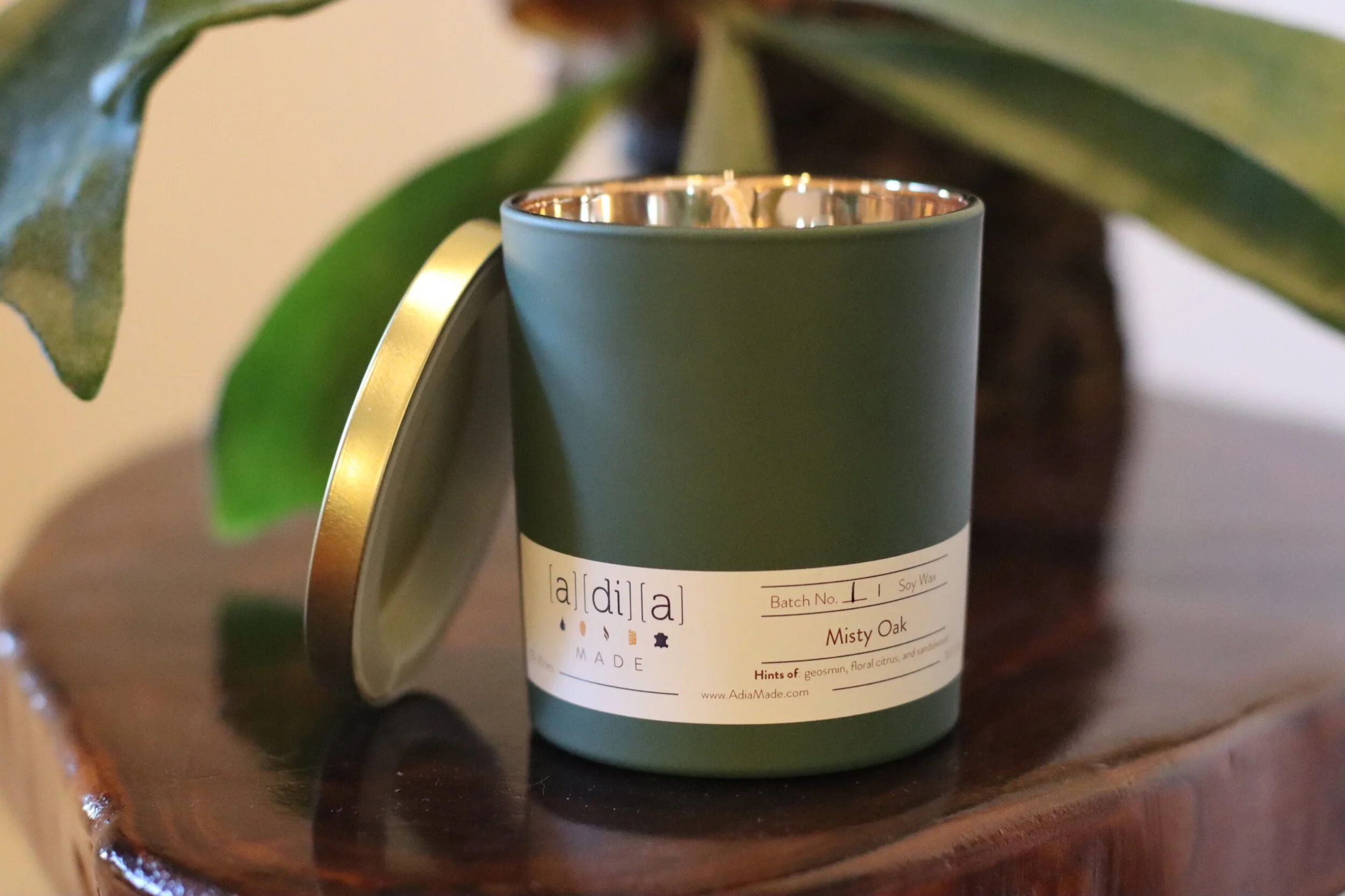 75DFC81C-8933-4F57-AFEB-94B9F65182D2