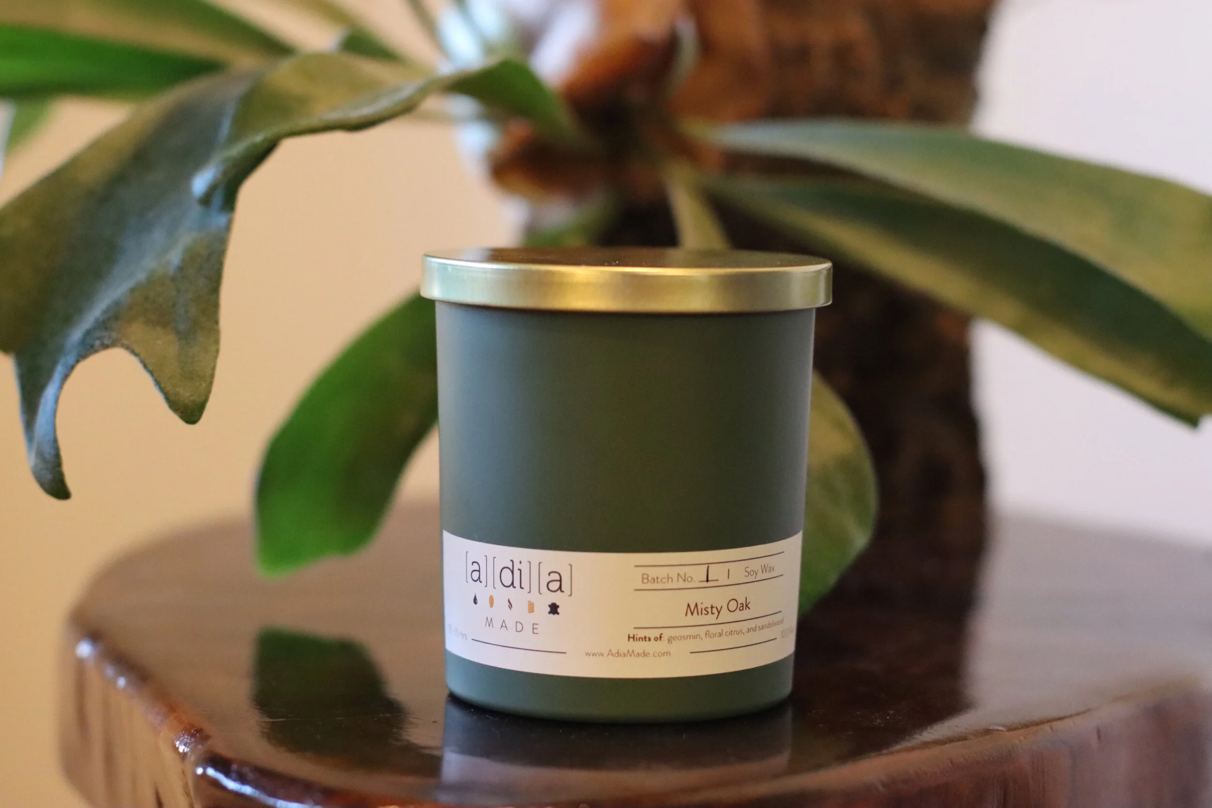 EE5D3552-F2BA-48E5-9829-027B238B6276