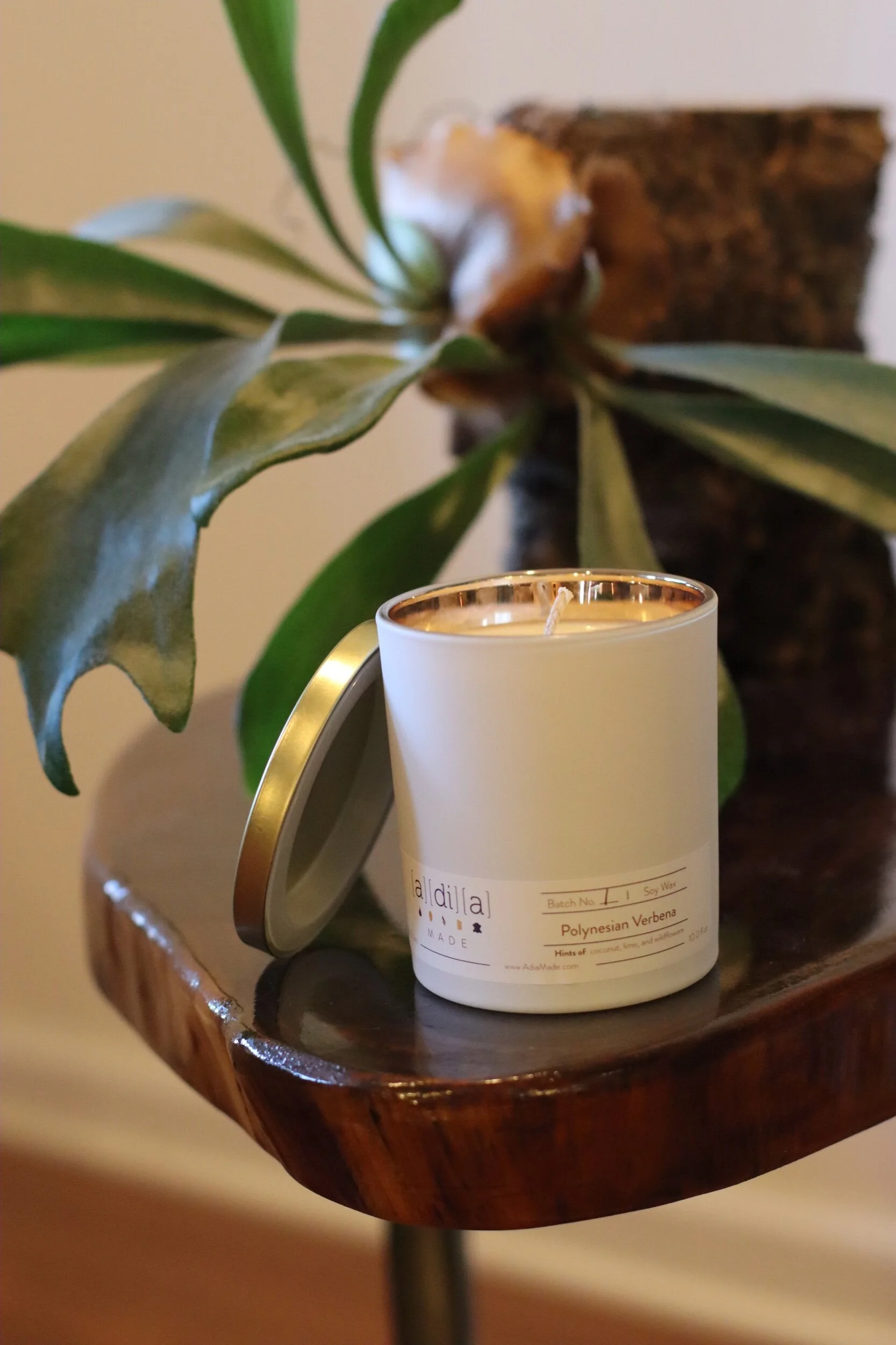 C2402894-F371-4126-B6E2-C054A8749956