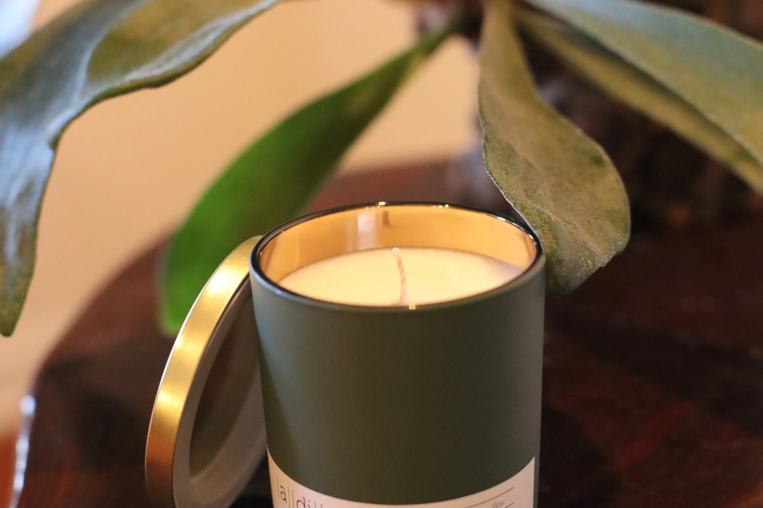 31D63629-B1AF-4142-8388-F391B32AF1D8